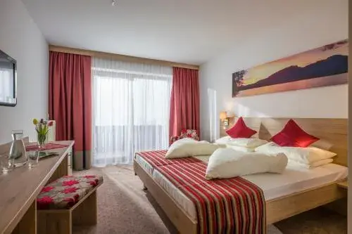 Double Room in Hotel Wildauerhof Double Room in Hotel Wildauerhof