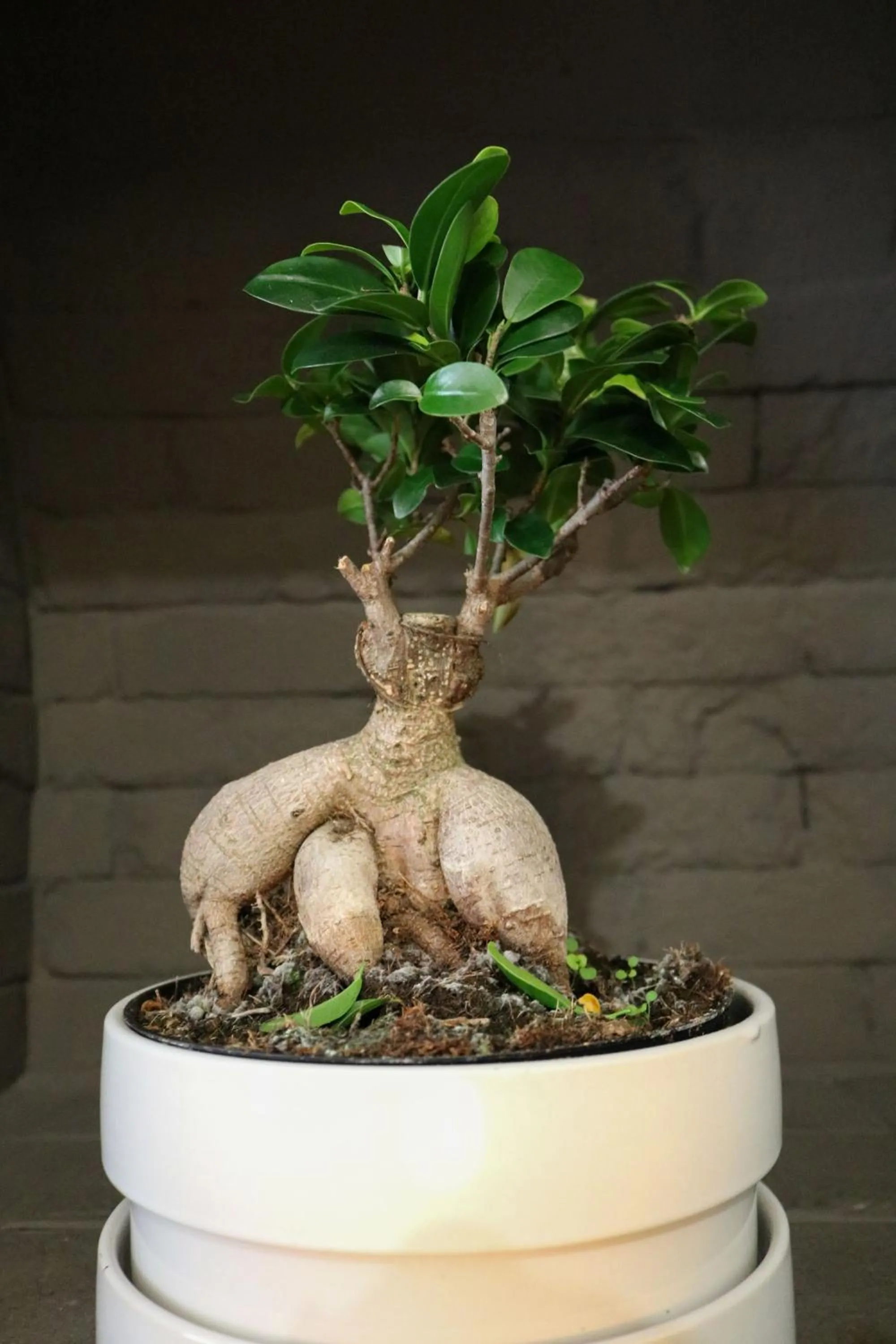 Origami Porto Residência & Hostel