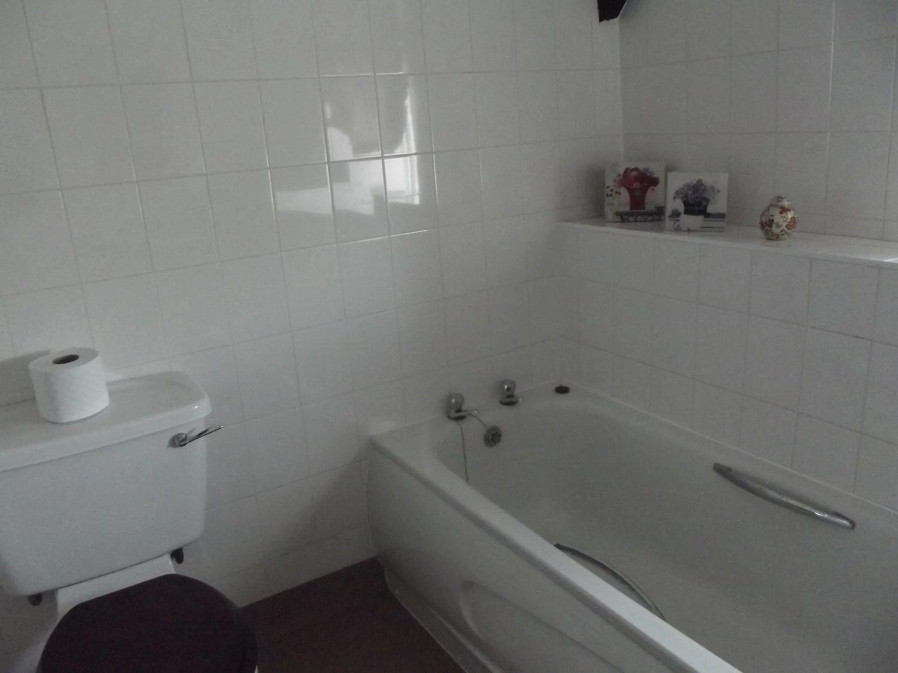 Bathroom in Plas Coch Hotel Ltd