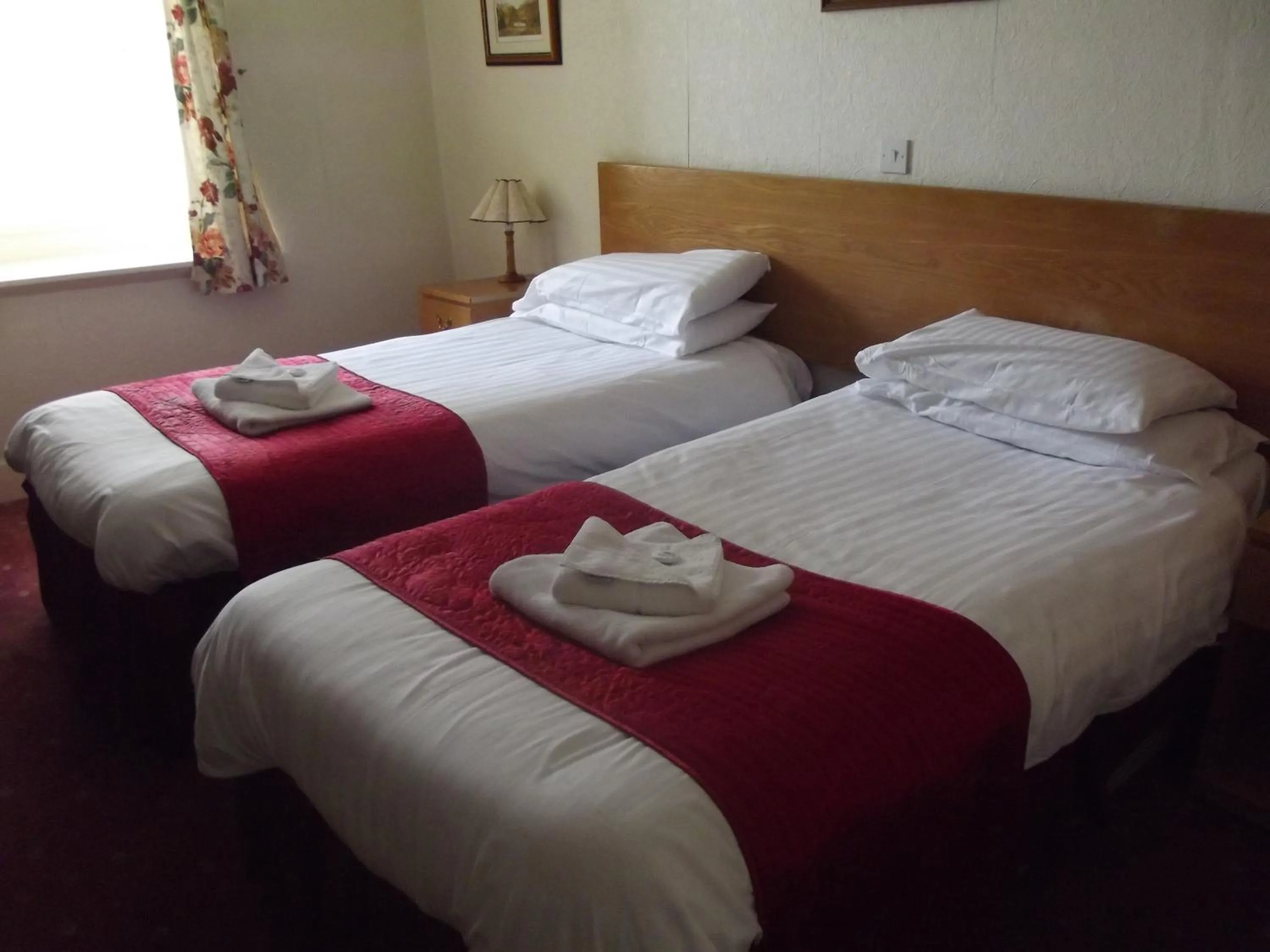 Bed in Plas Coch Hotel Ltd