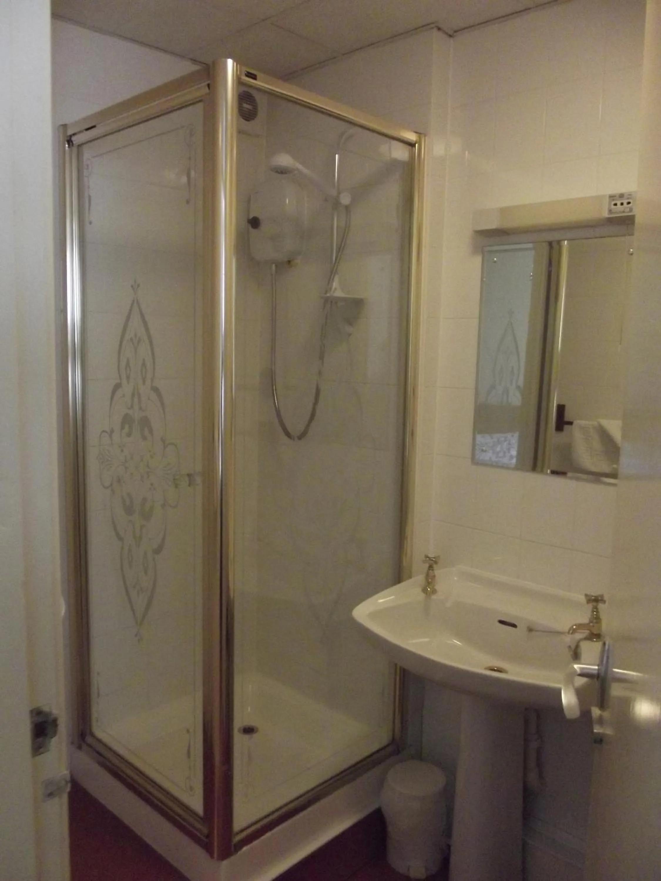 Shower in Plas Coch Hotel Ltd