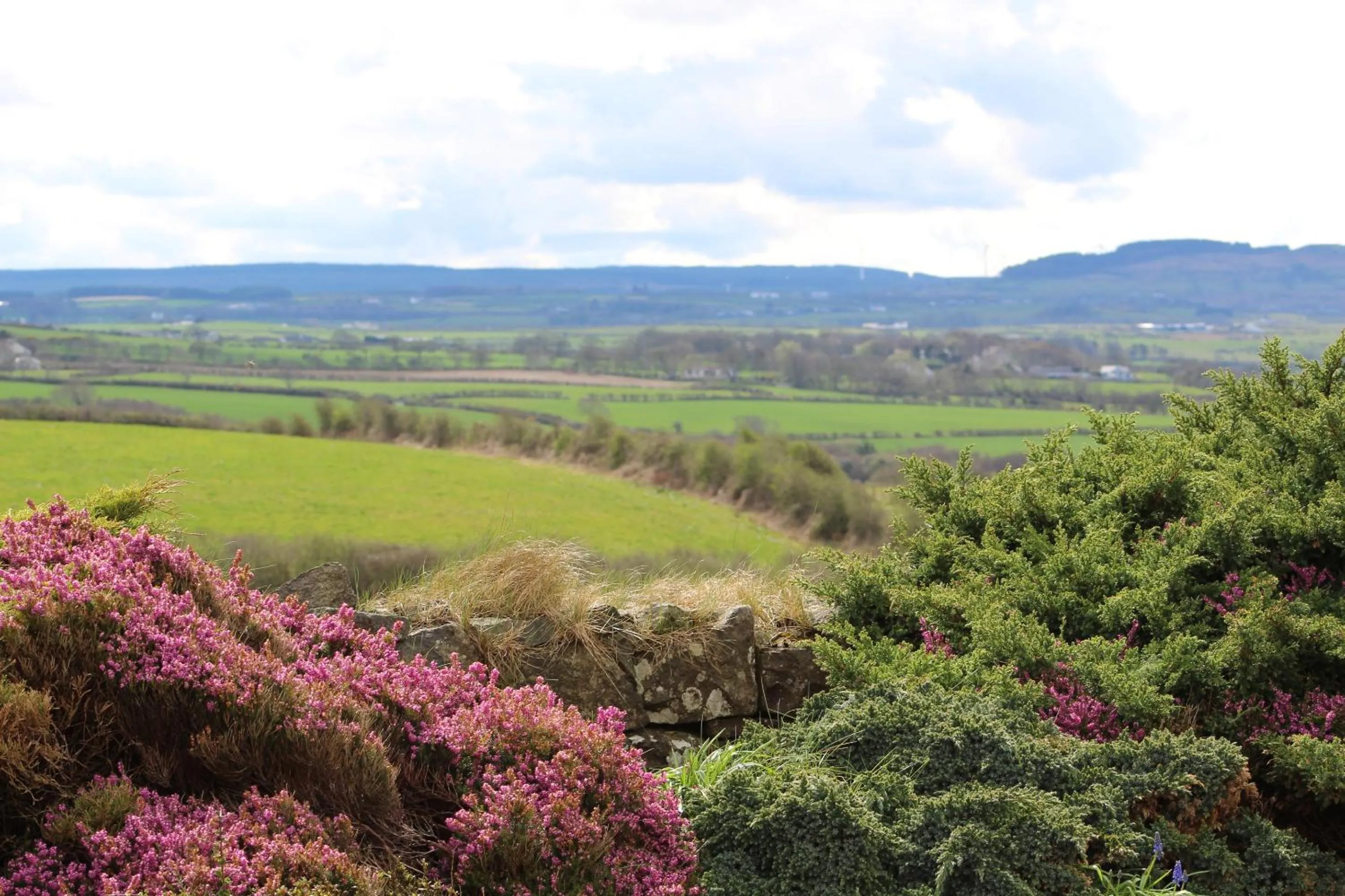 Garden in Carnalbanagh House
