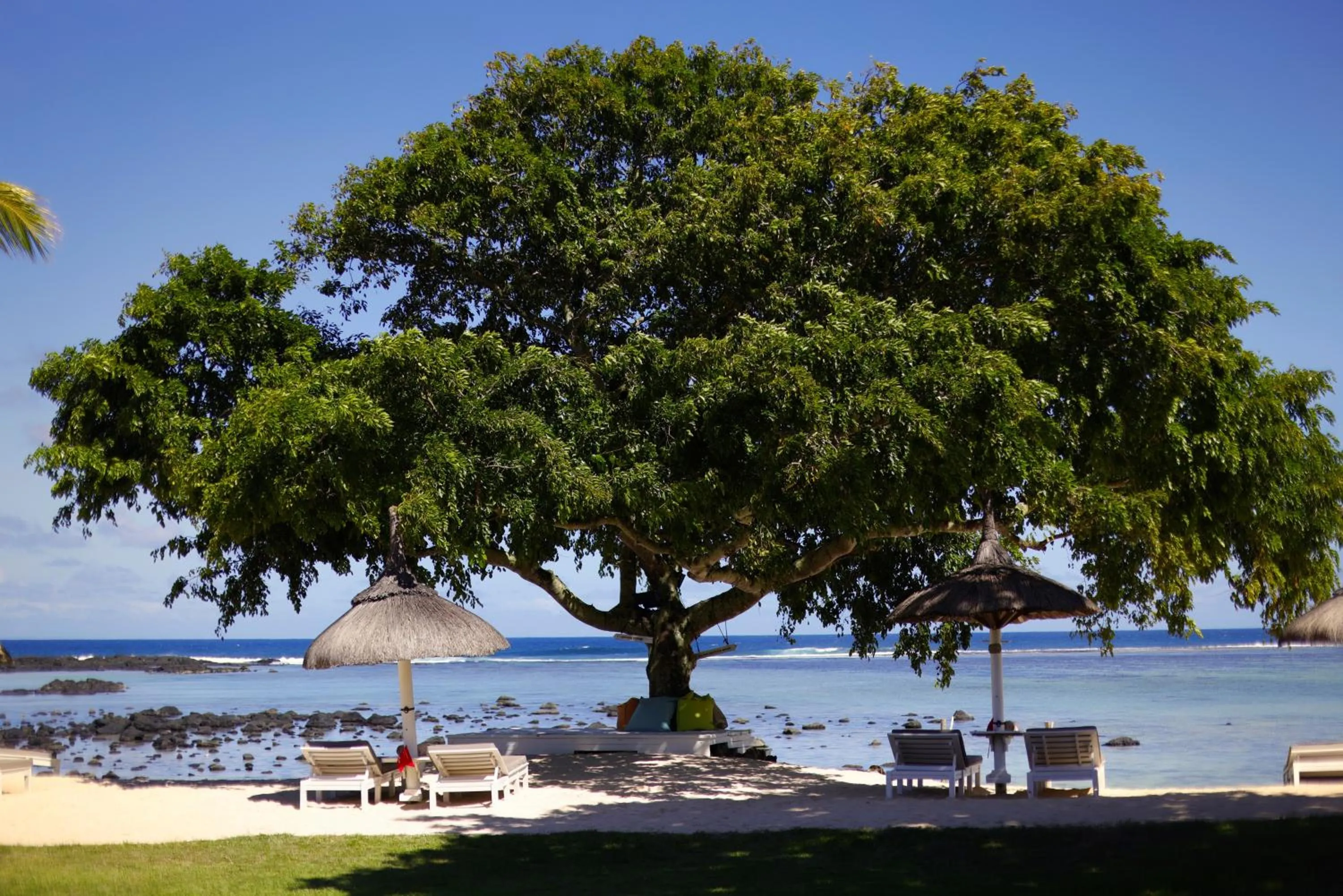 Beach in Shanti Maurice Resort & Spa