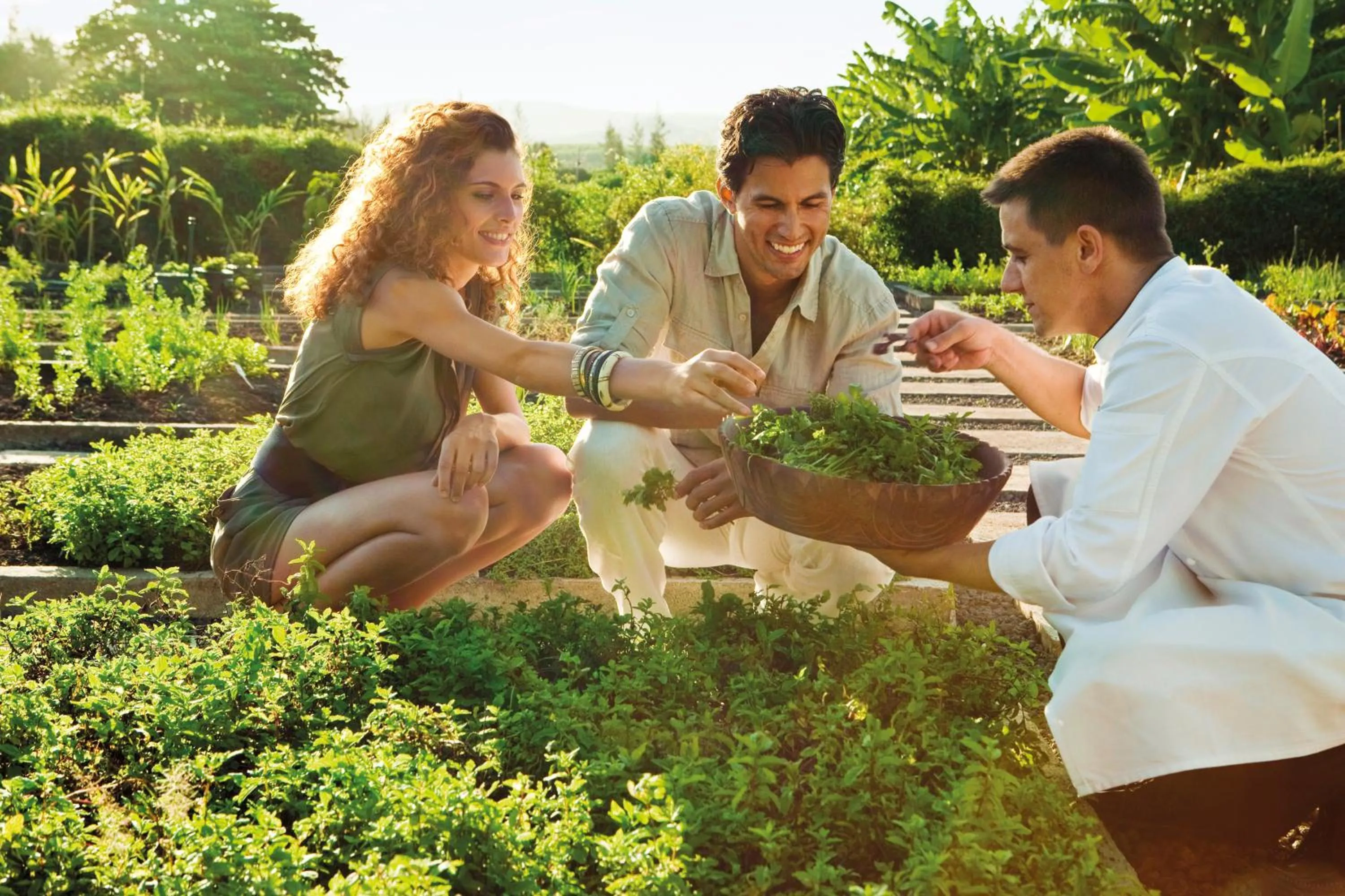 Garden in Shanti Maurice Resort & Spa