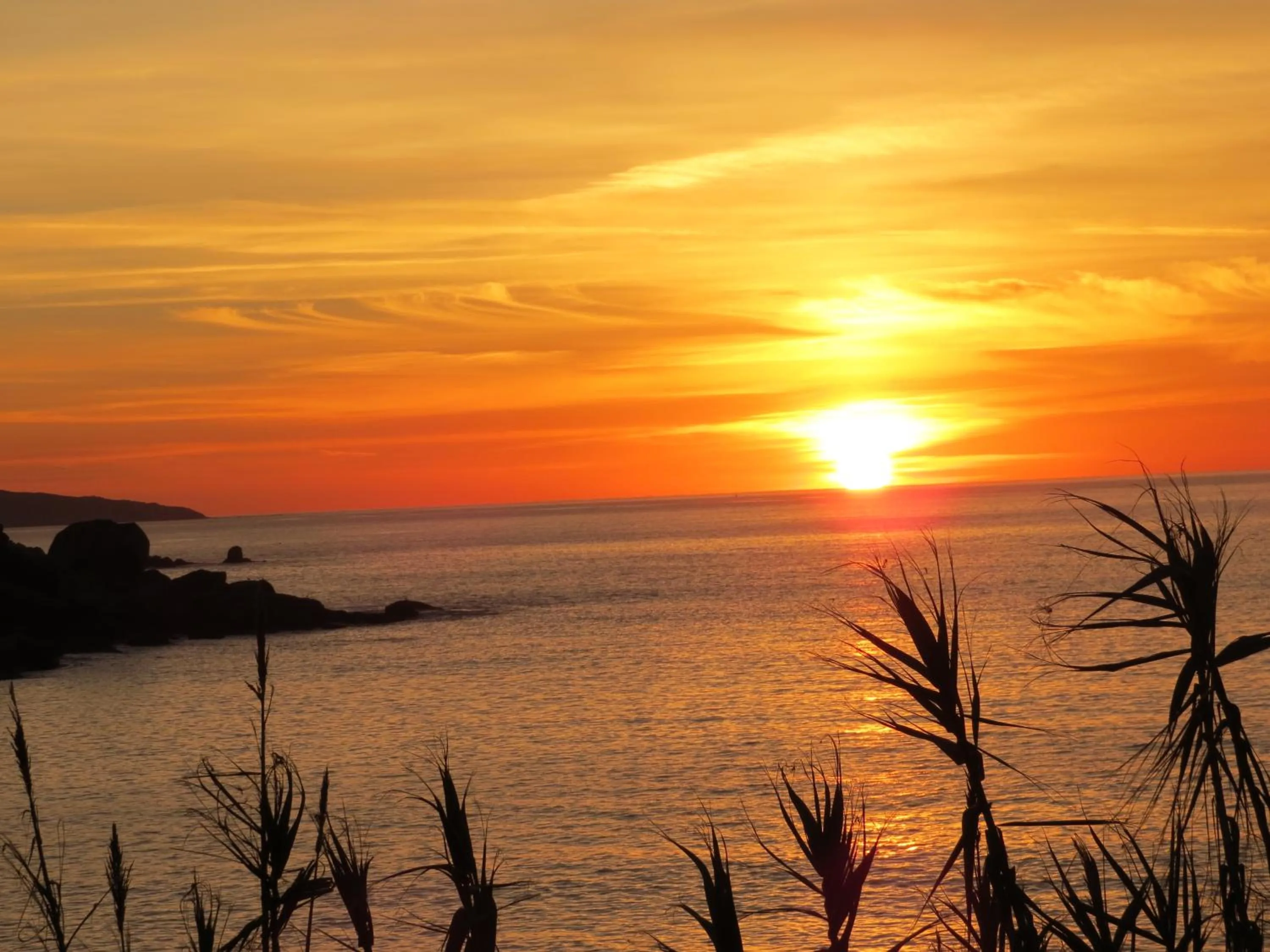 Natural landscape in Hotel Nuevo Lanzada