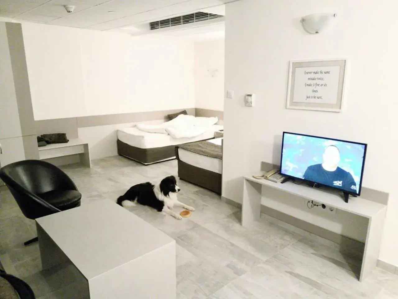 Junior Suite - Pet Friendly in Park Hotel Moskva Junior Suite - Pet Friendly in Park Hotel Moskva