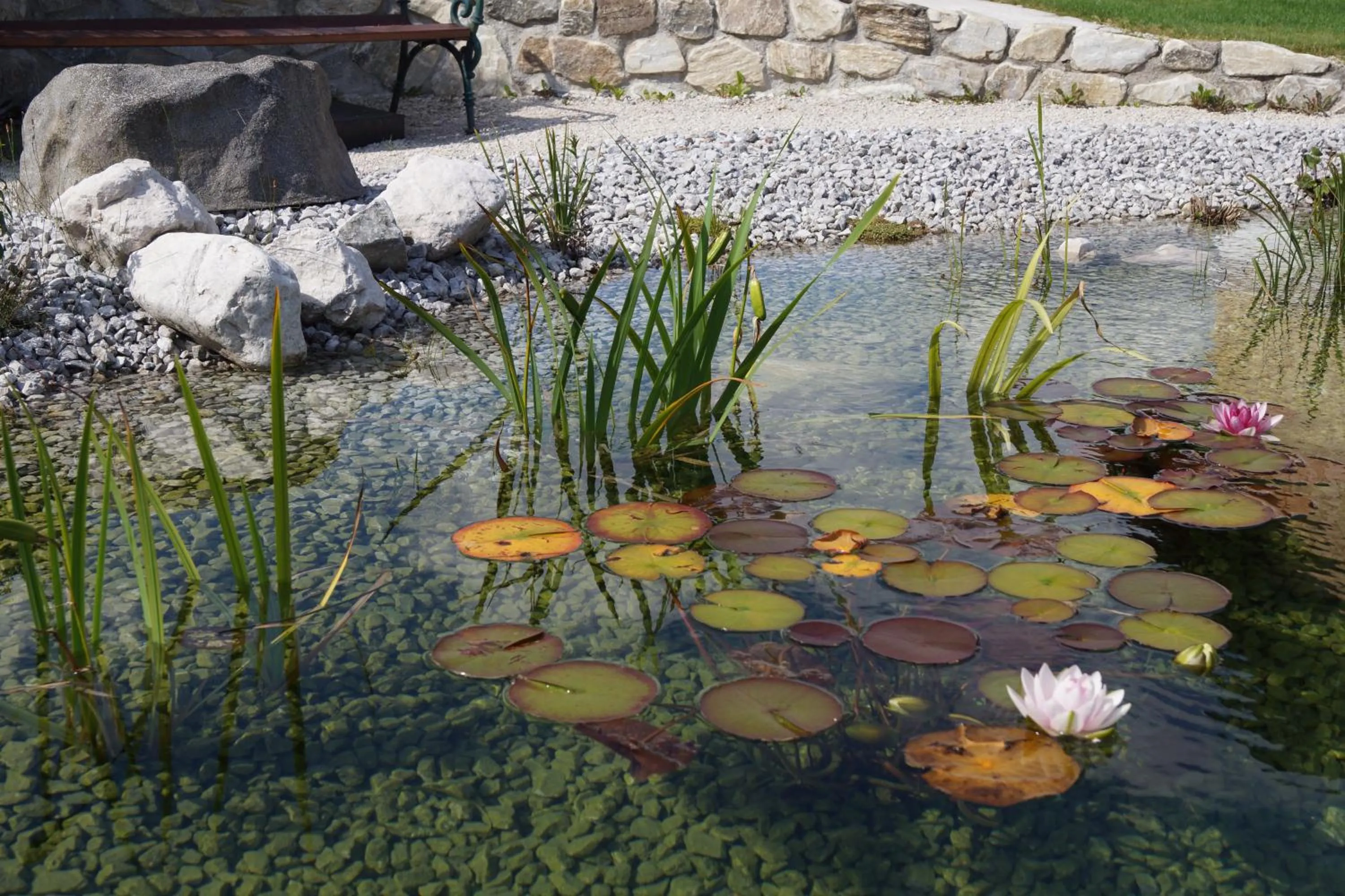 Summer in Thomanhof Chalet-Appartement