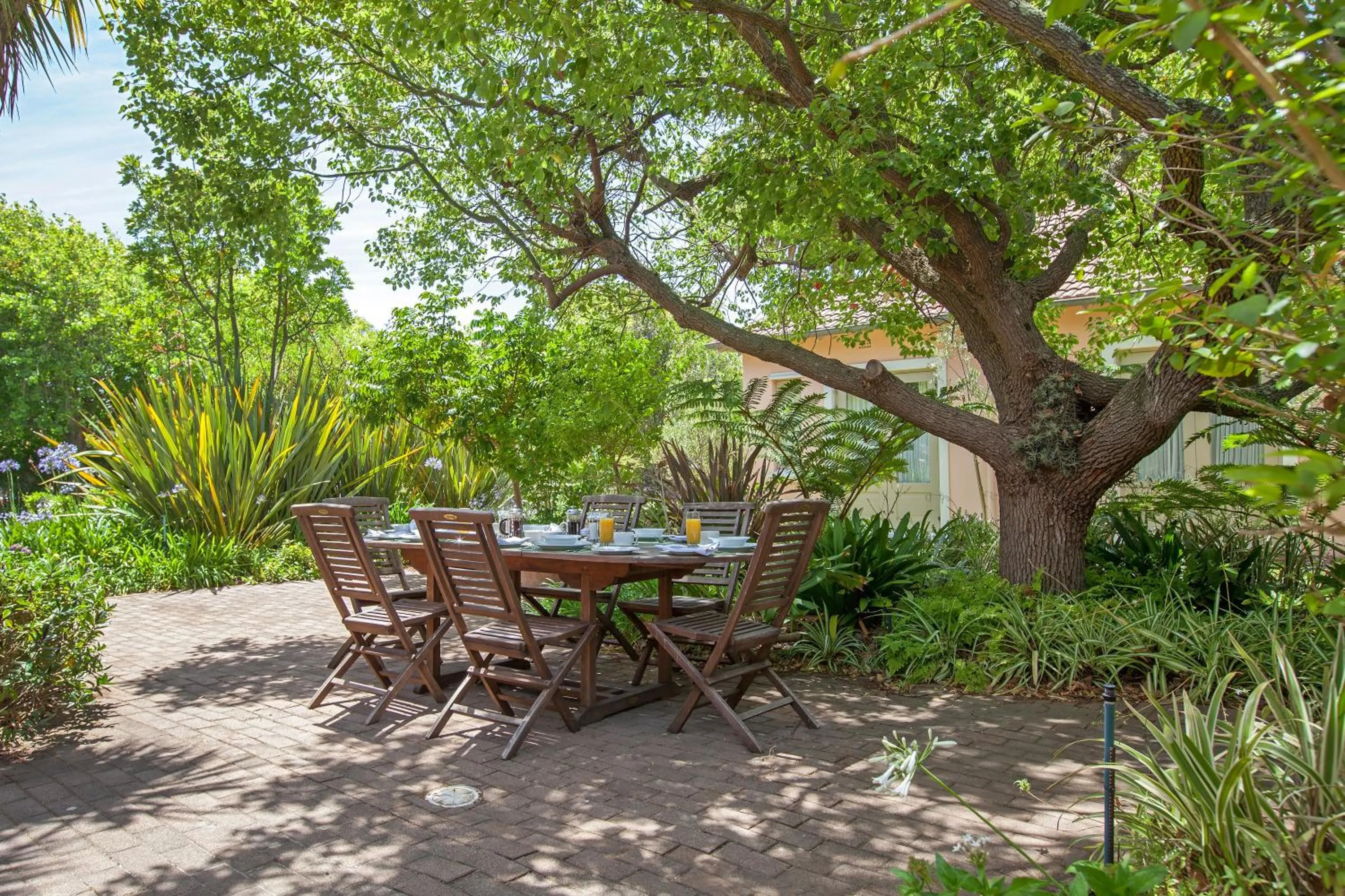 Garden in Medindi Manor