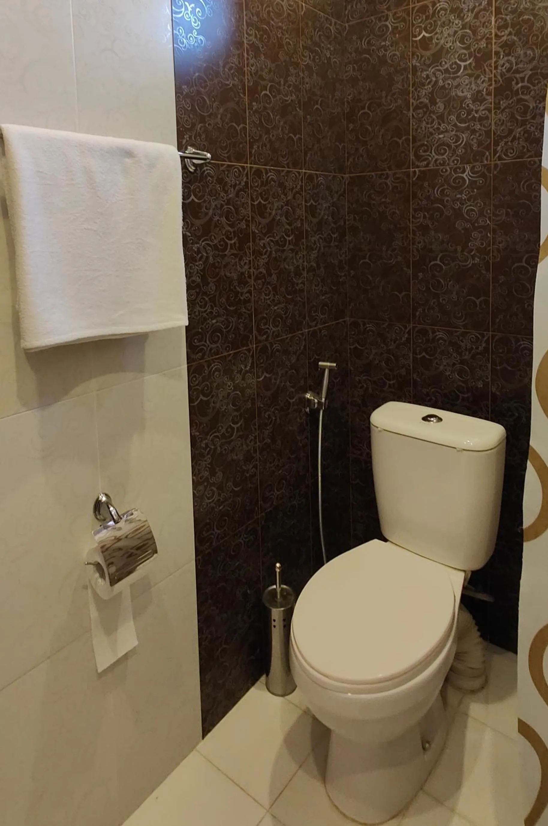 Toilet in Areg Hotel