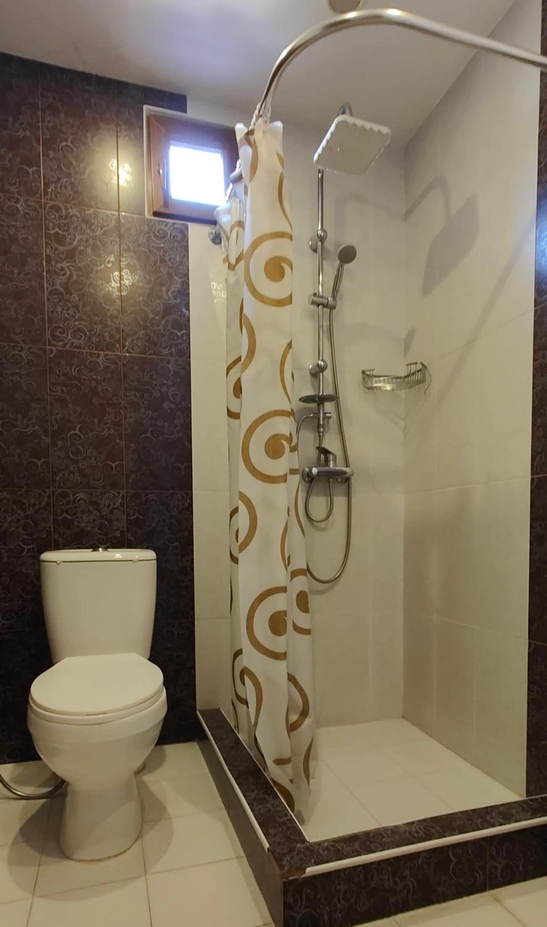 Shower in Areg Hotel
