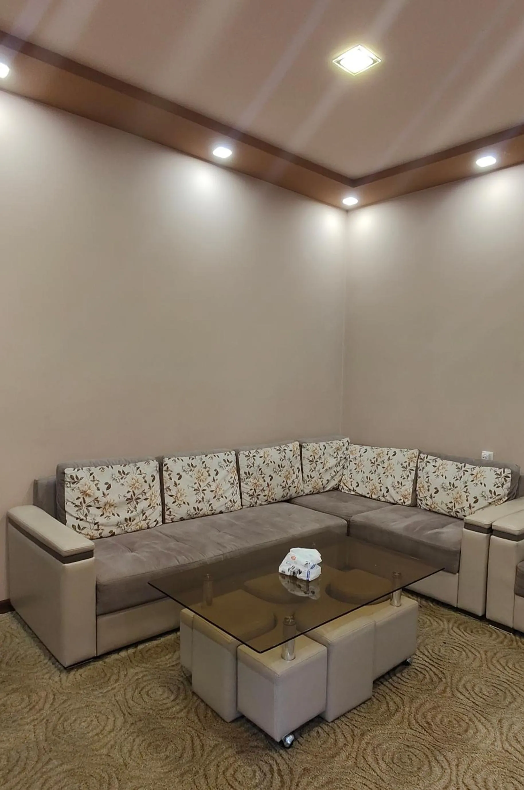 Living room in Areg Hotel