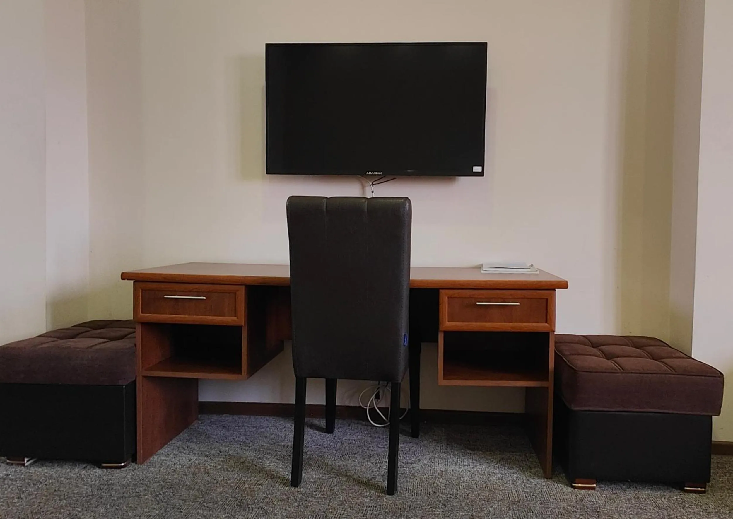 TV and multimedia in Areg Hotel