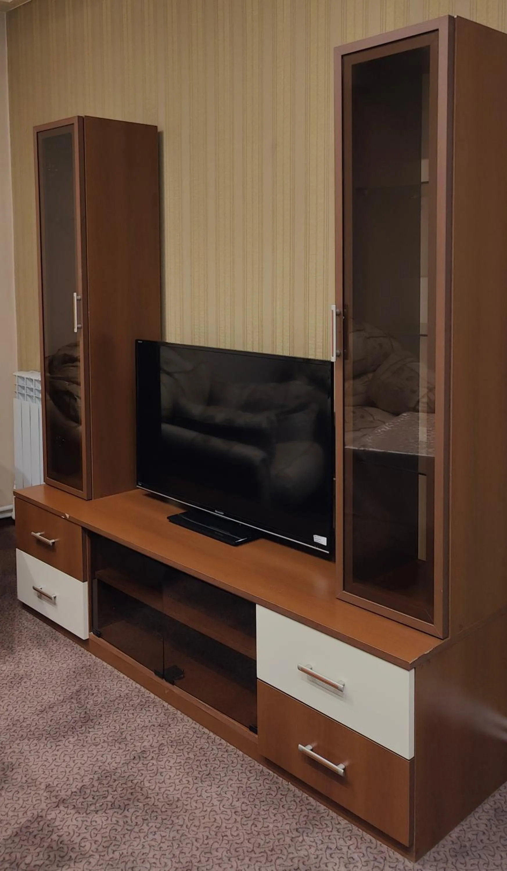 TV and multimedia in Areg Hotel