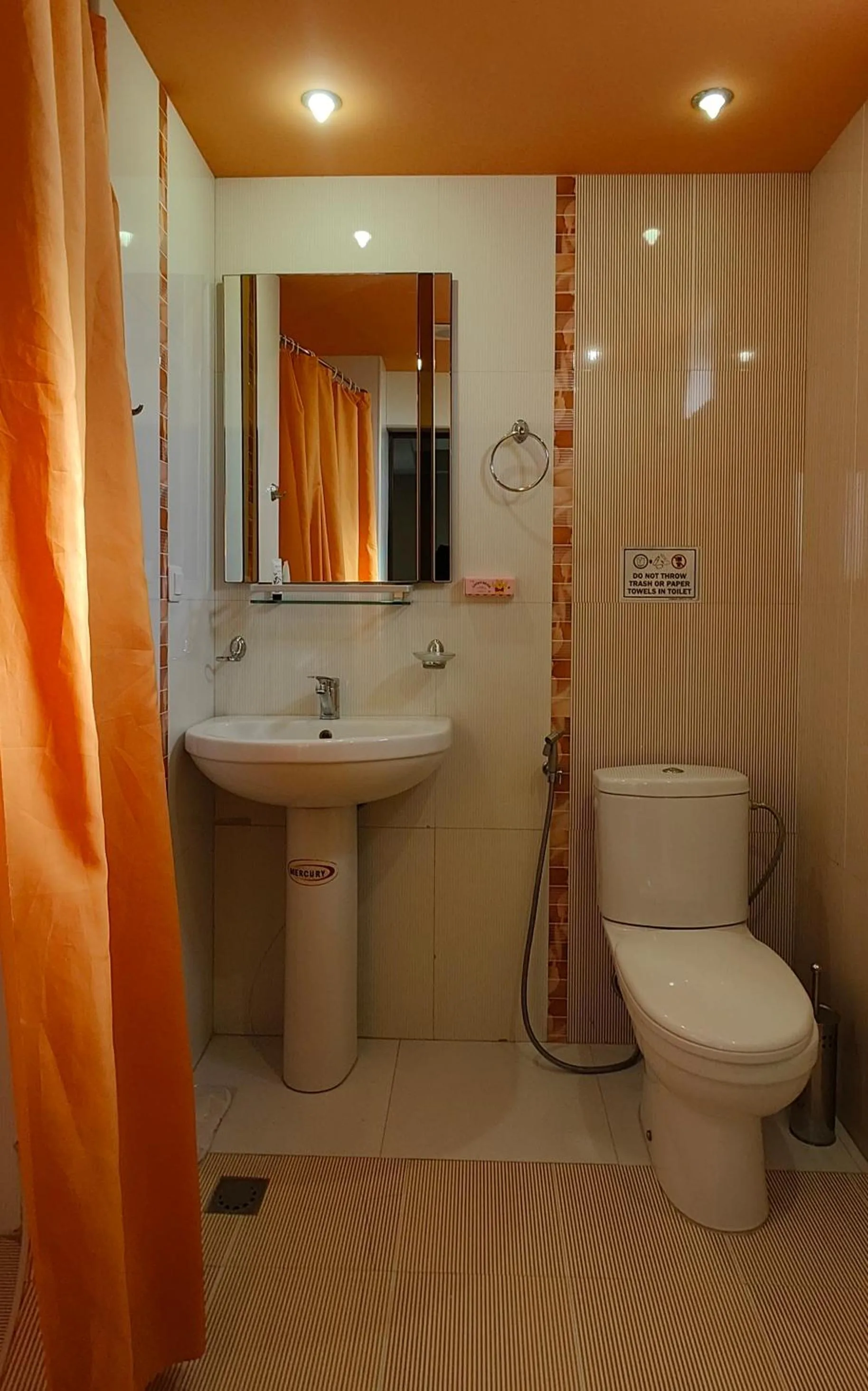 Shower in Areg Hotel