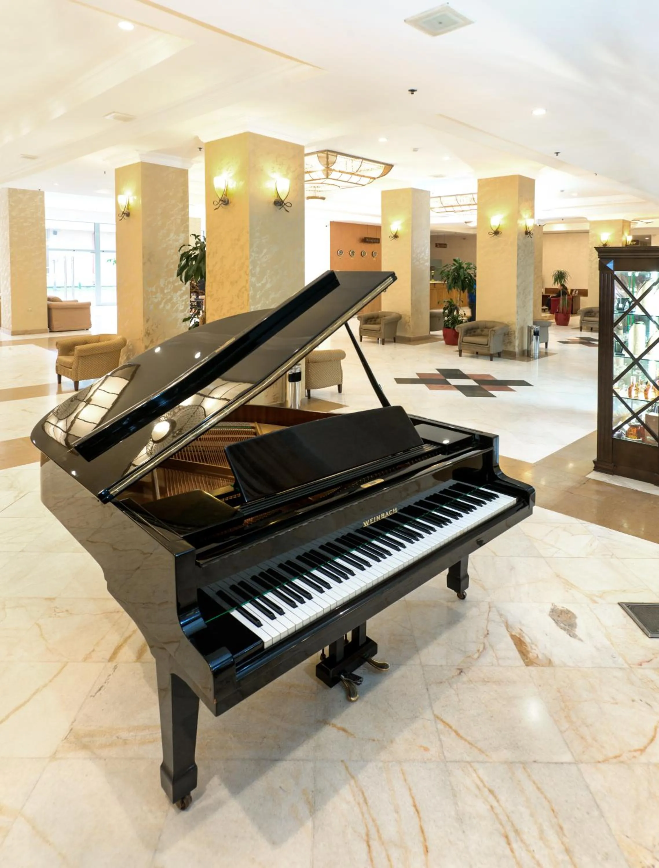 Lobby or reception in Ani Plaza Hotel