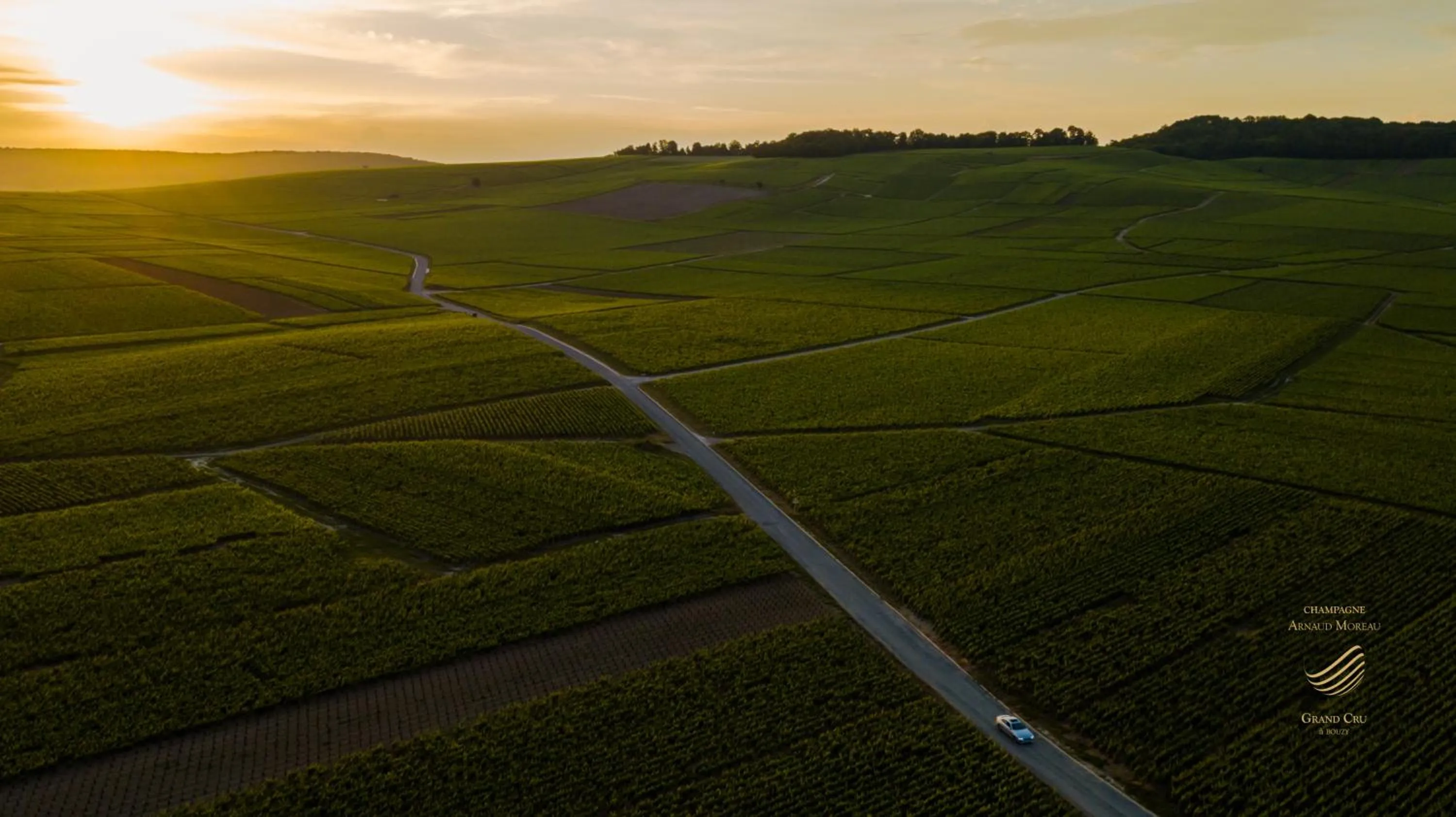 Natural landscape in L'Iliade - Chambres d'hôtes - B&B à Bouzy