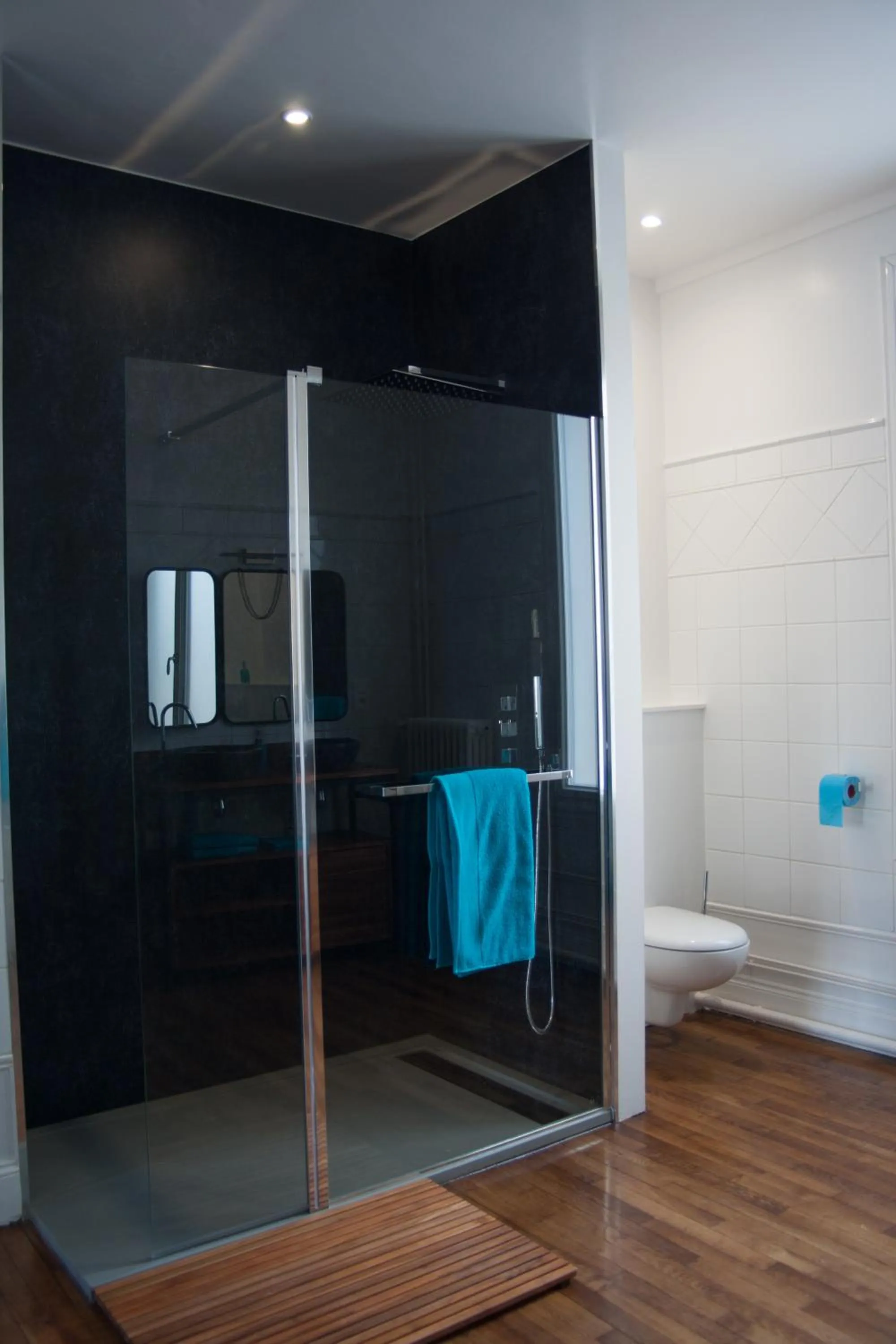 Shower in L'Iliade - Chambres d'hôtes - B&B à Bouzy