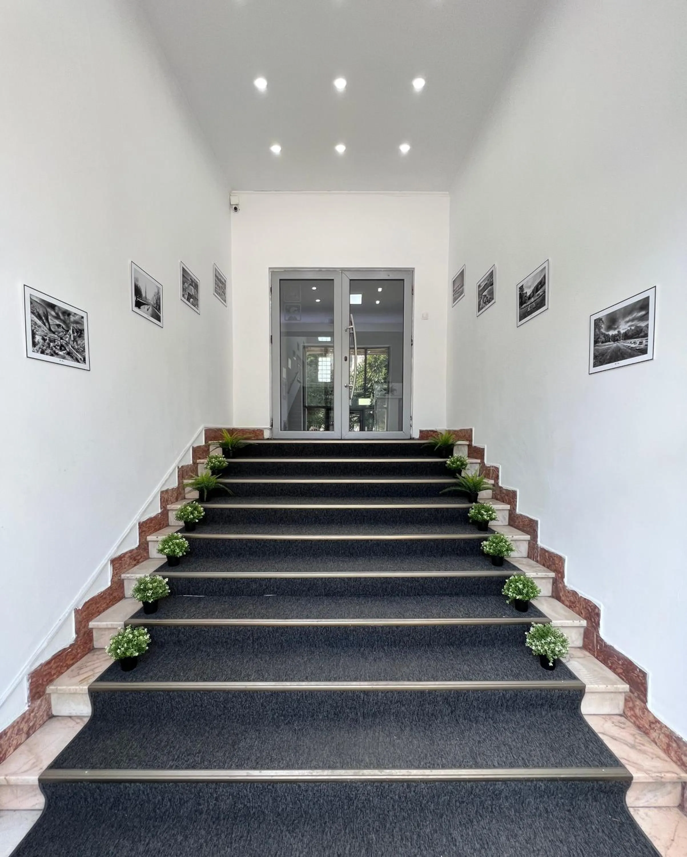 Property building in Hotel Tineretului