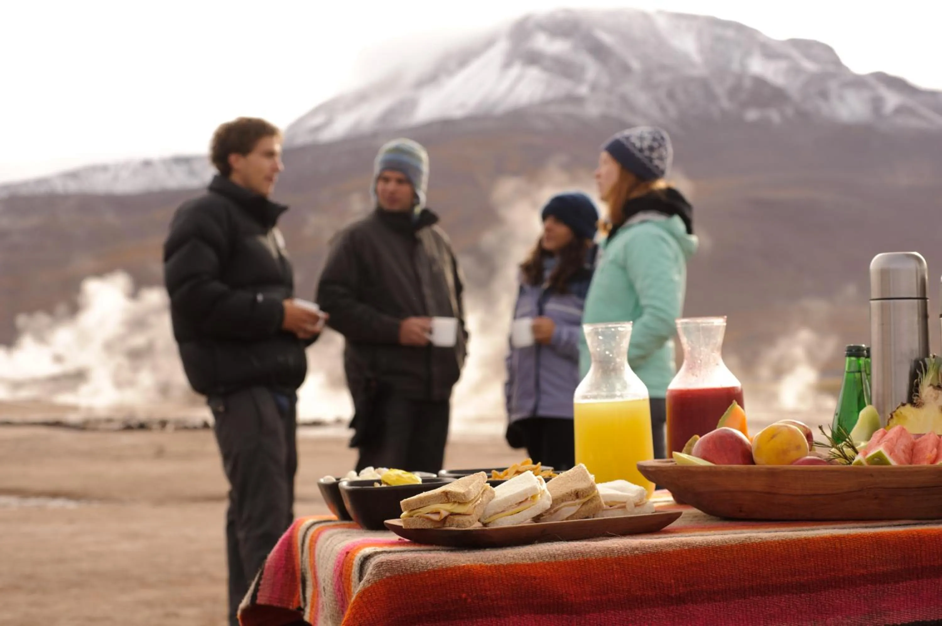 Other in NOI Casa Atacama