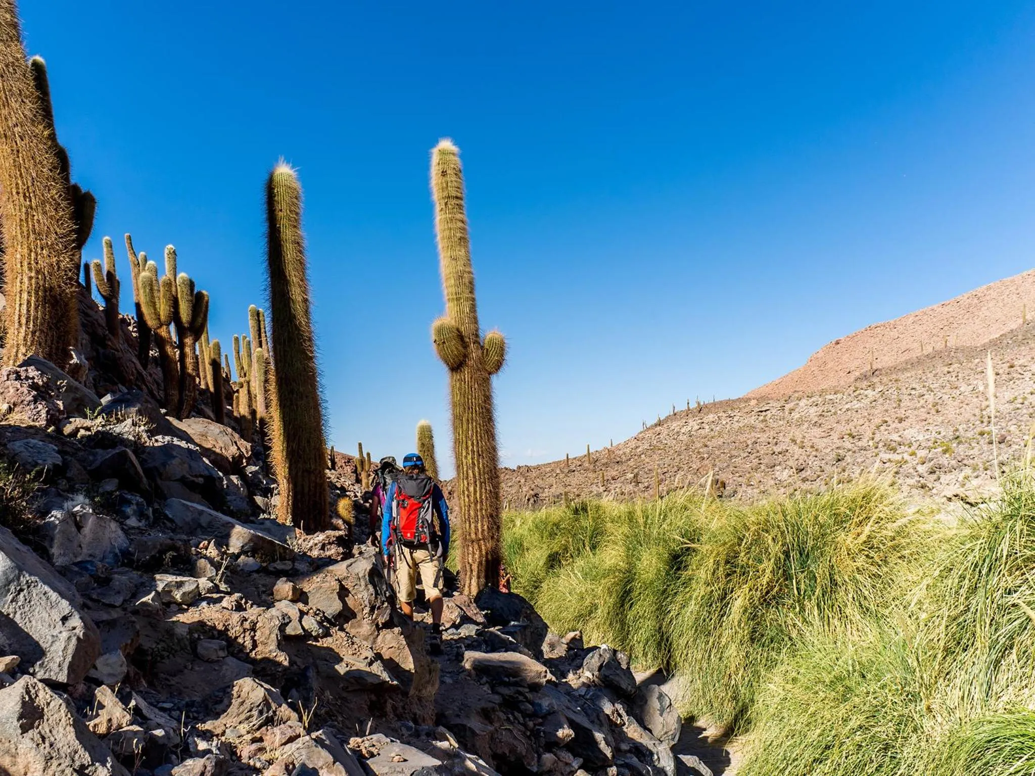 Nearby landmark in NOI Casa Atacama