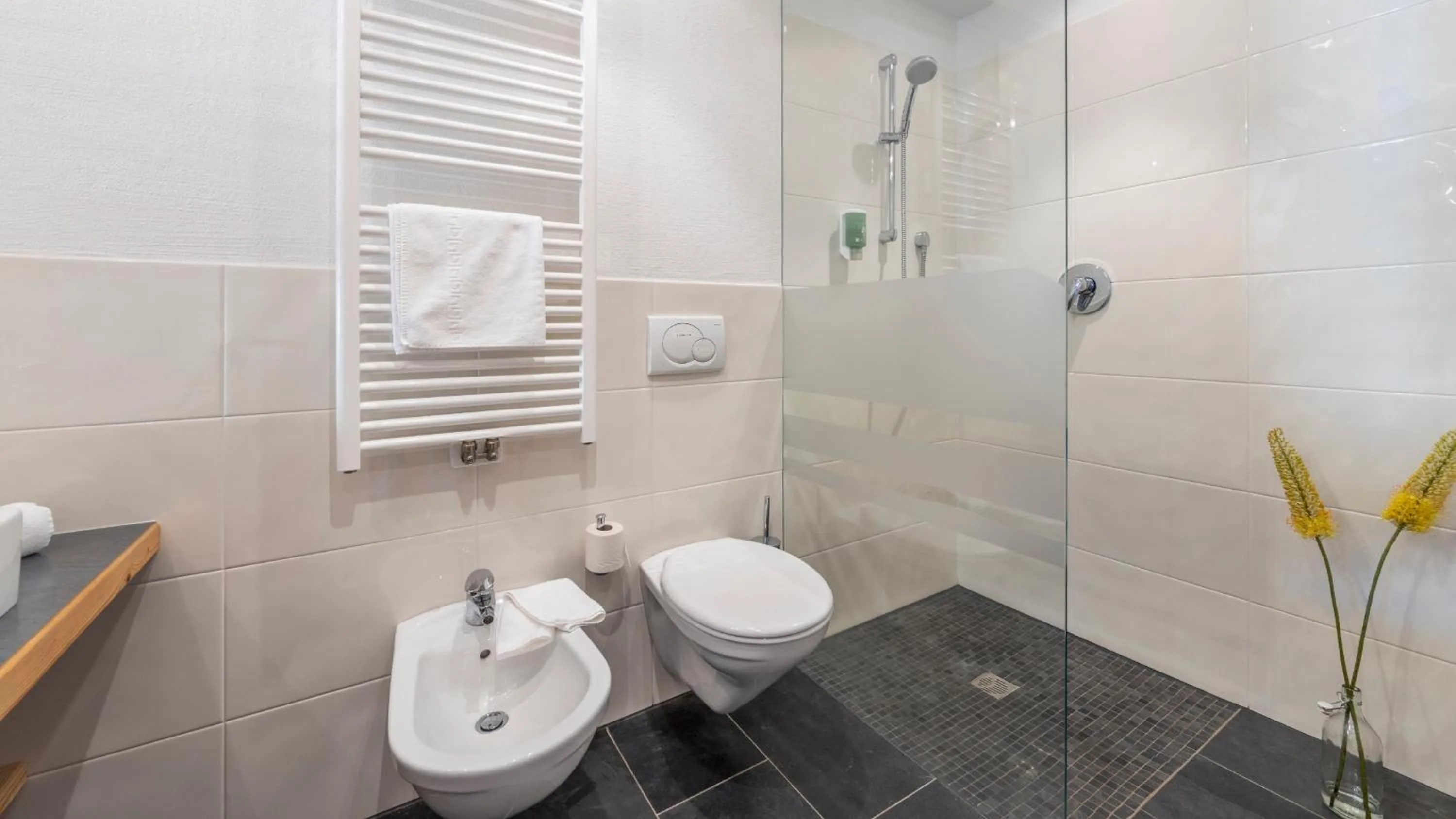 Bathroom in Taser Alm