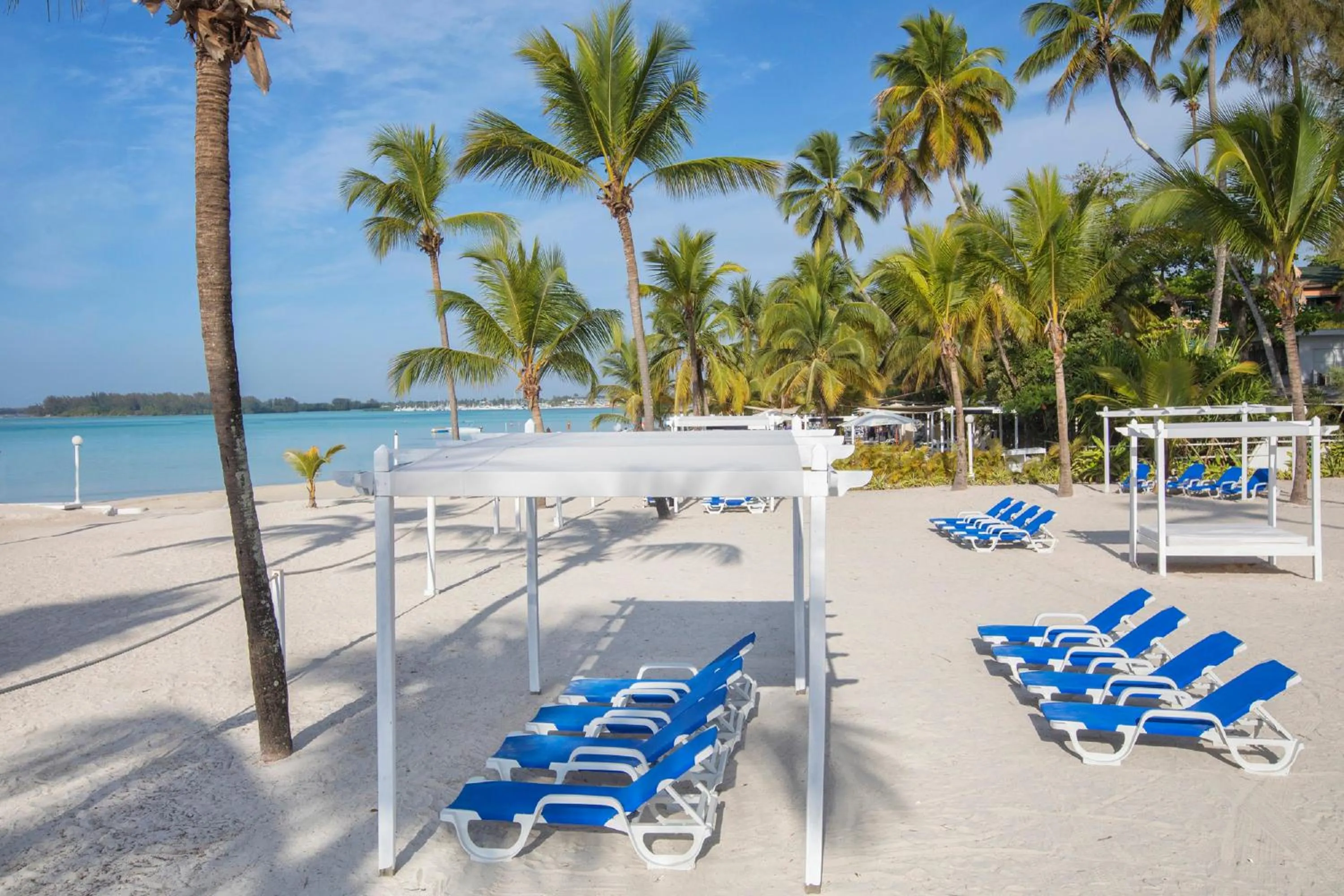 Beach in Hotel whala!boca chica - All Inclusive