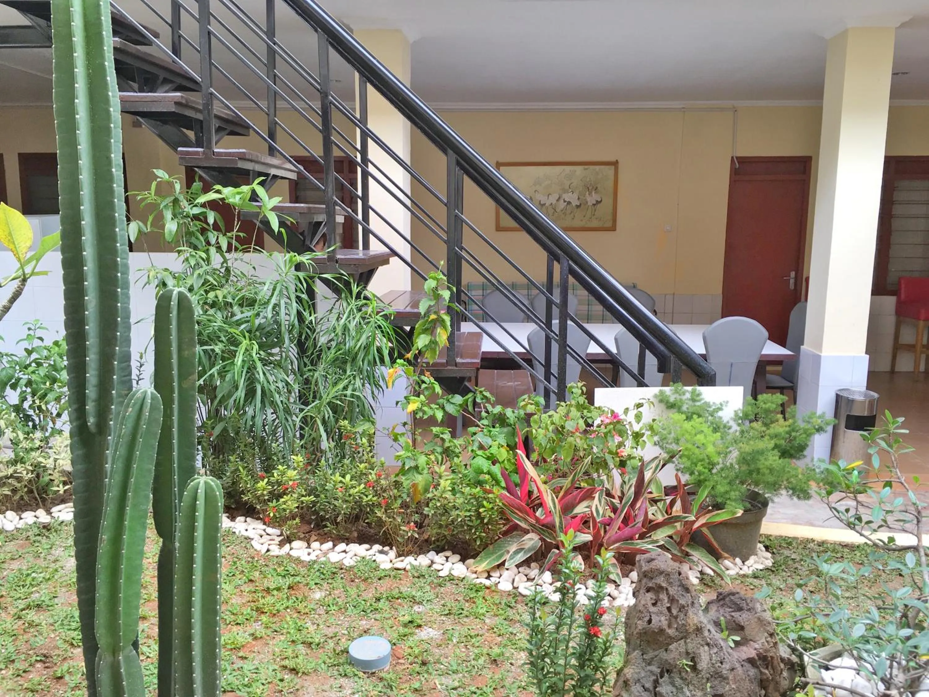 Garden in Indekost Bogor