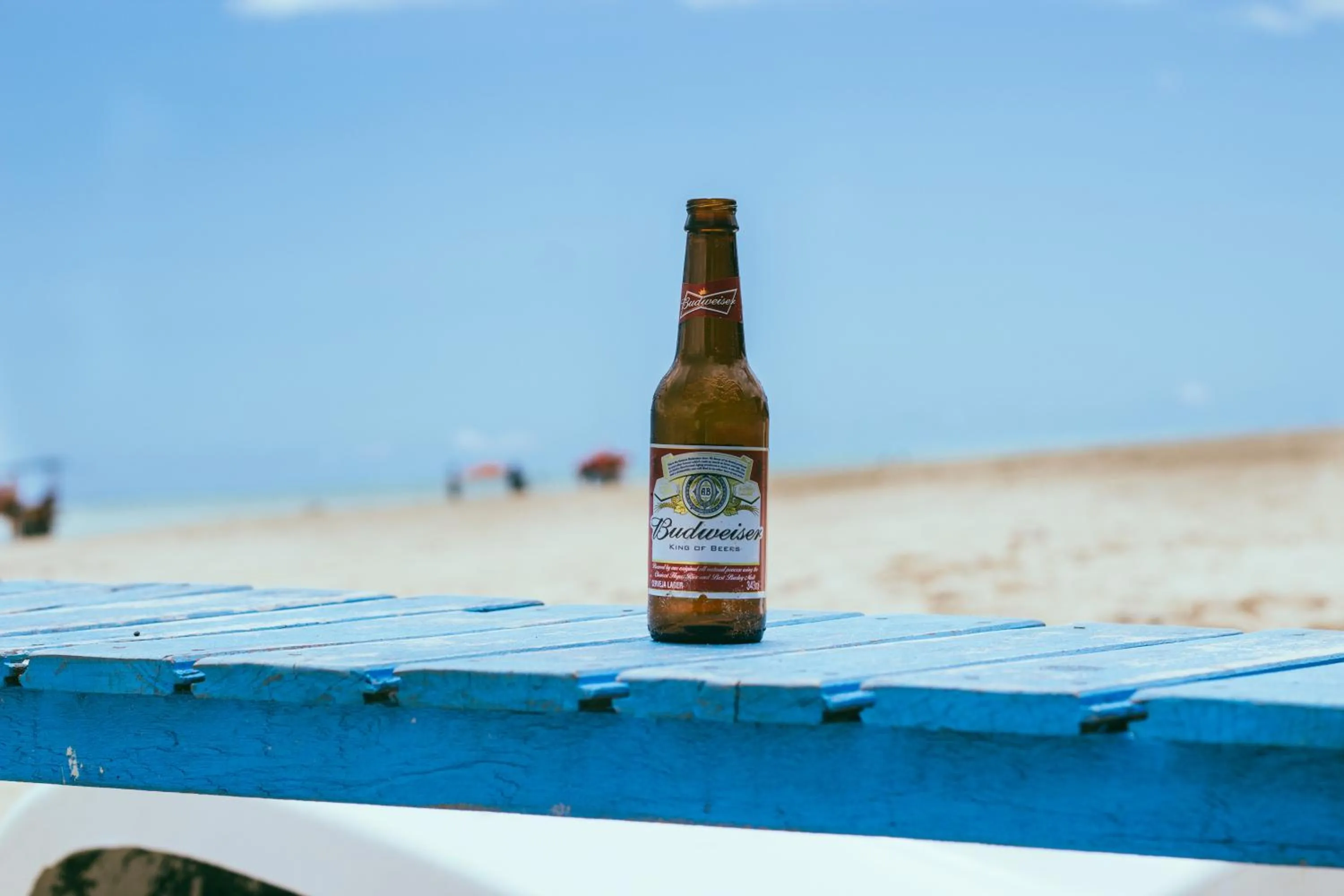 Lounge or bar in Pousada Brésil Aventure