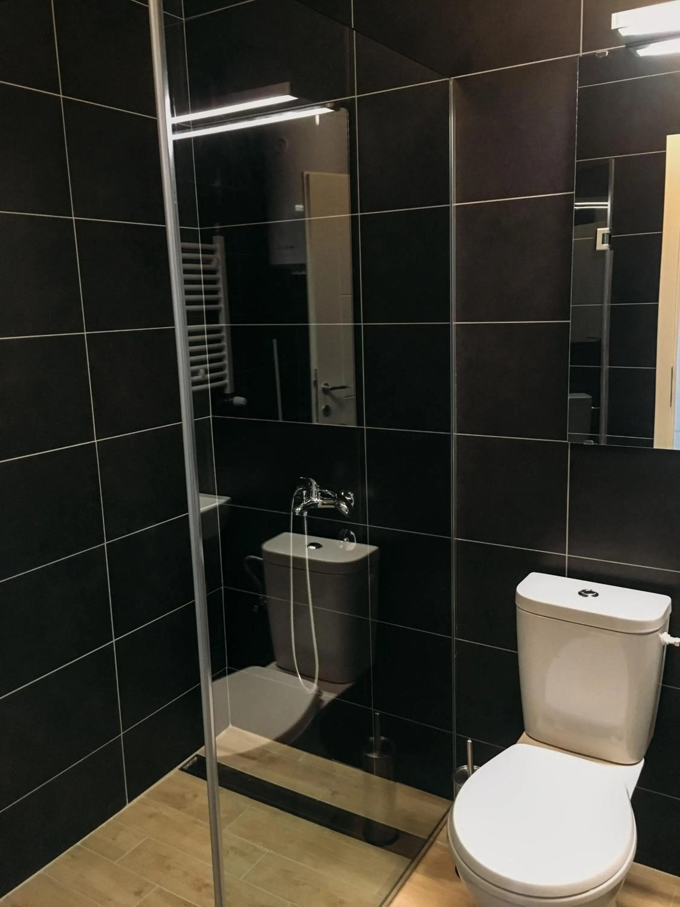 Shower in Apartman Senjak