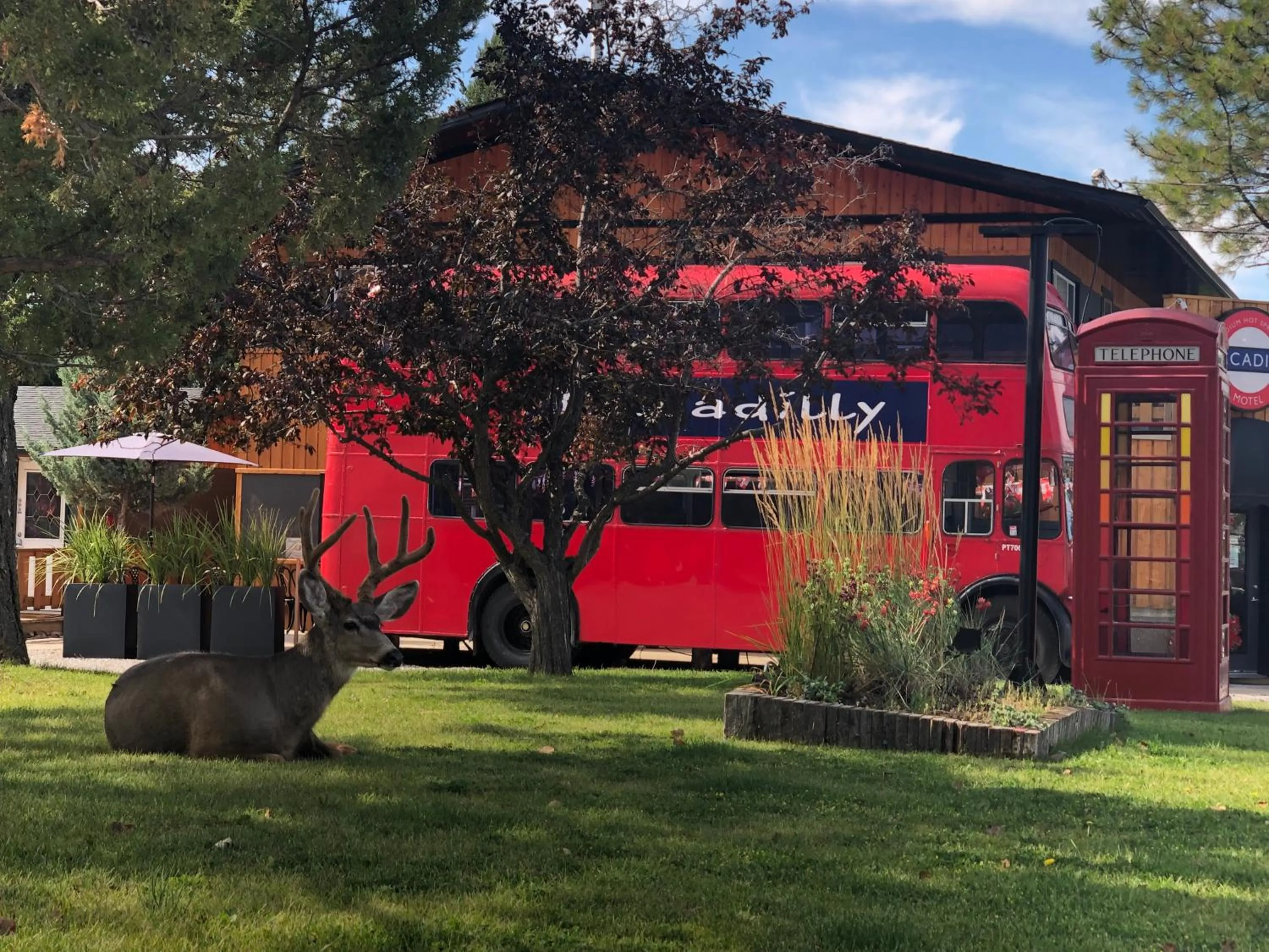 Property building in Piccadilly Motel