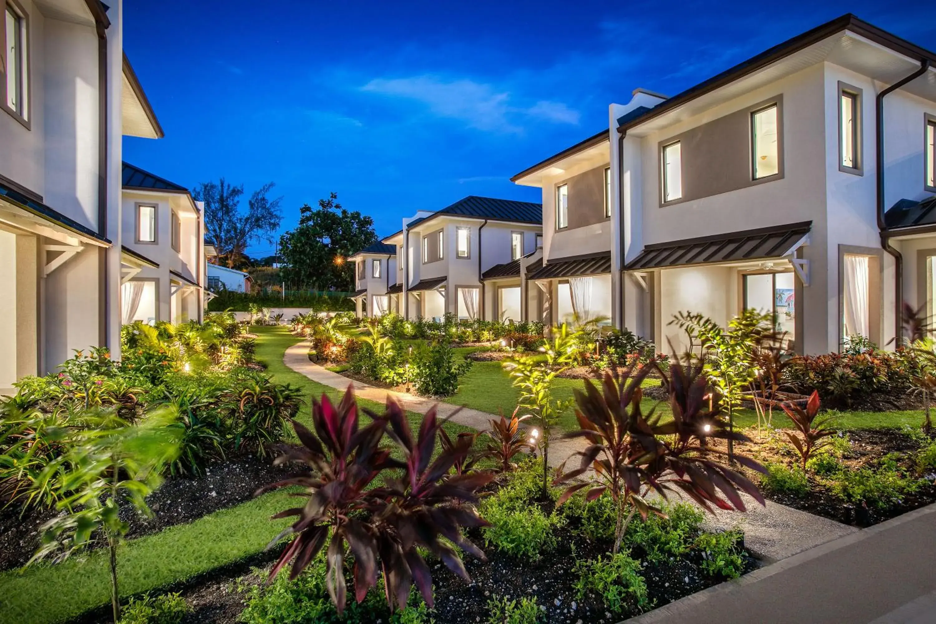 Garden in Beach View Hotel Garden in Beach View Hotel