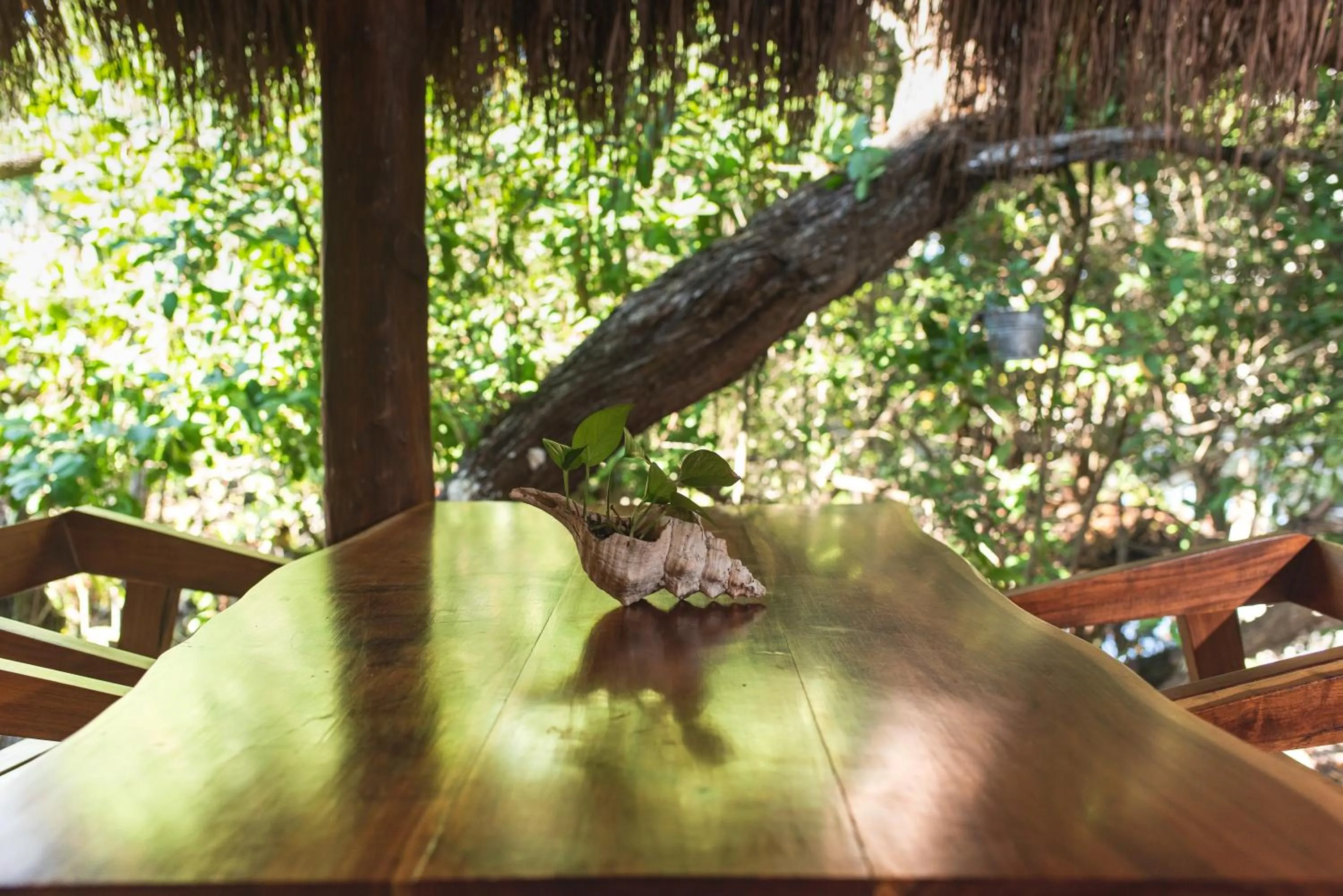 Day in Casa Takywara