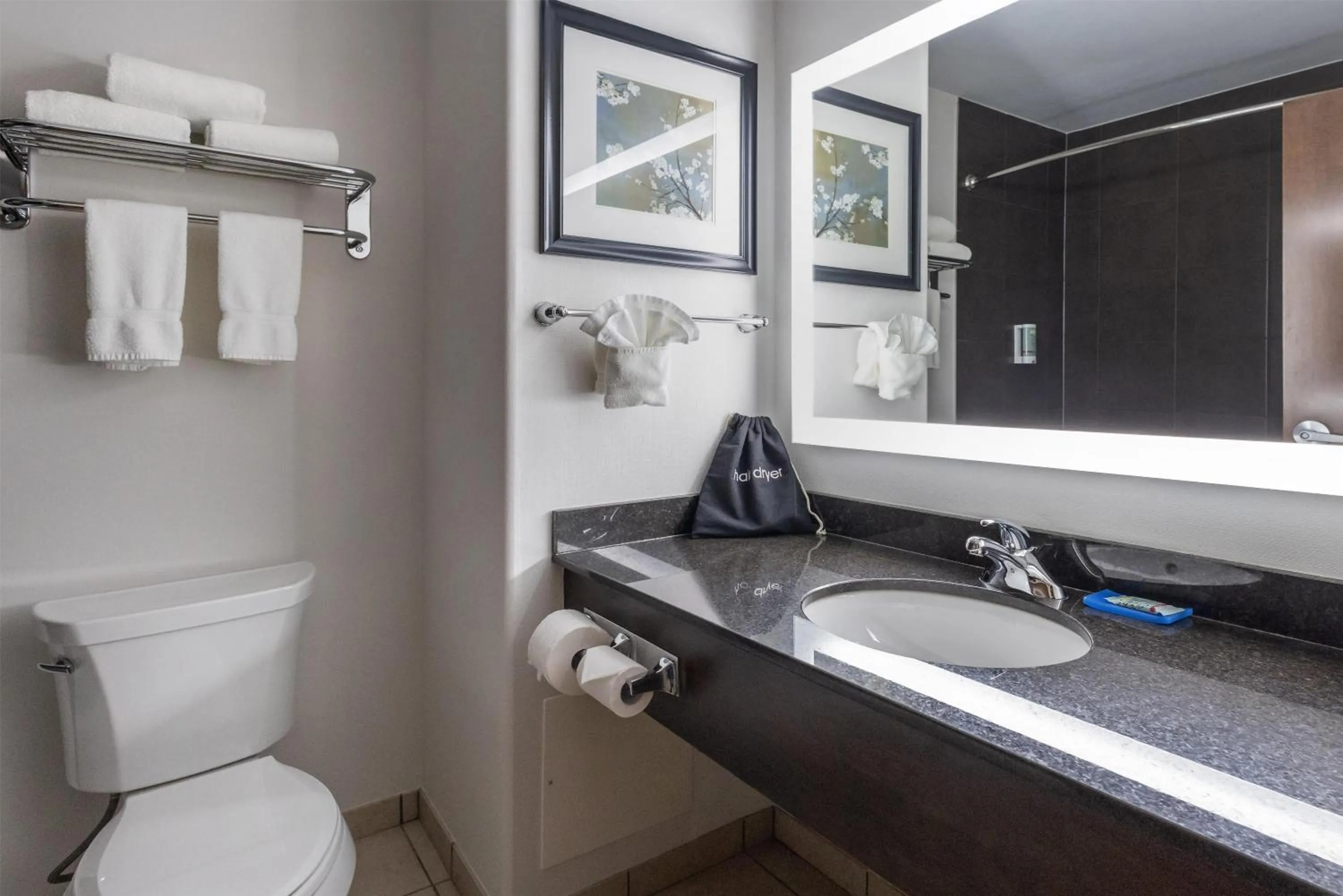 Bathroom in Best Western Dawson Creek