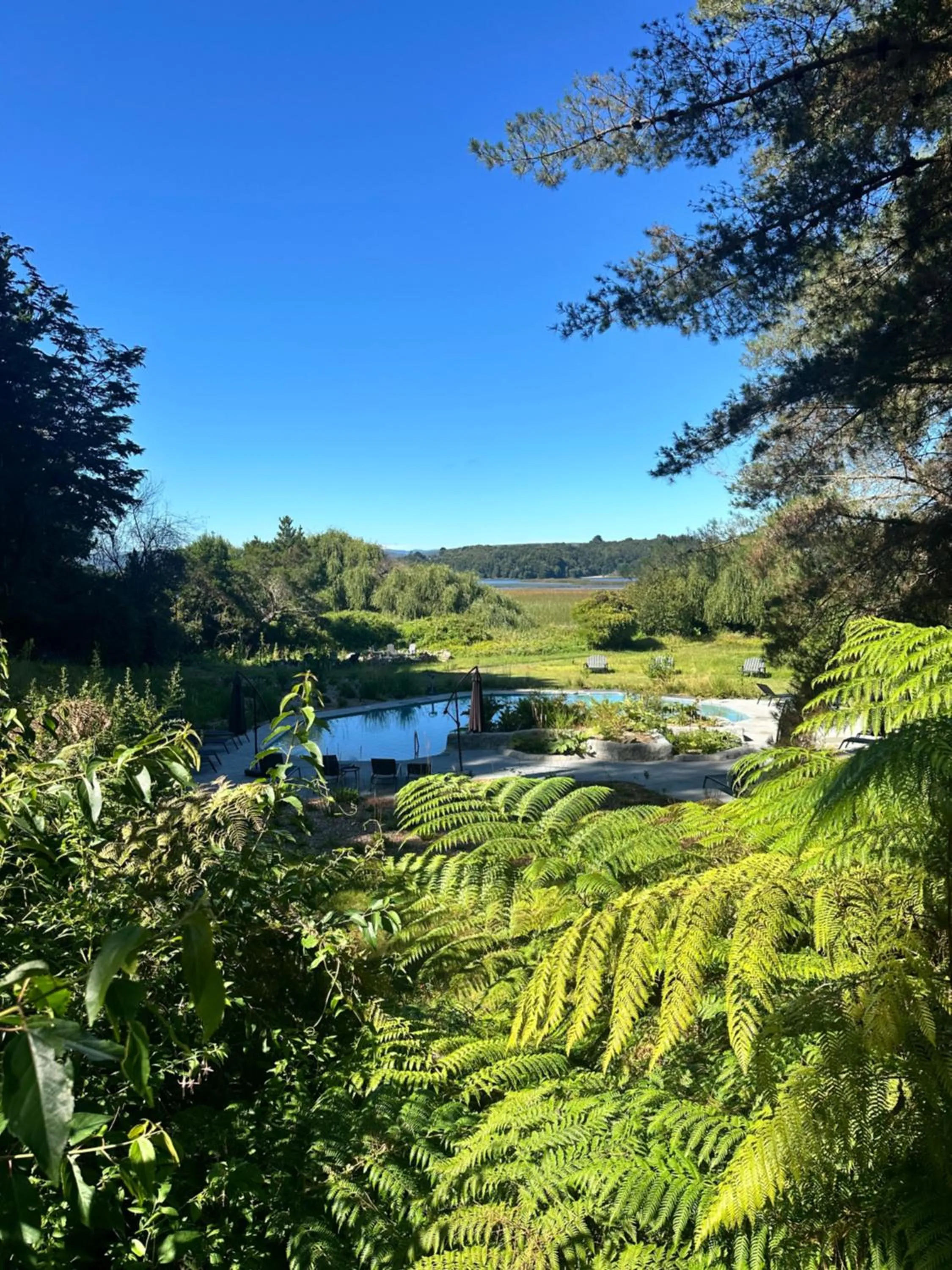Garden view in Hotel Puerta del Sur