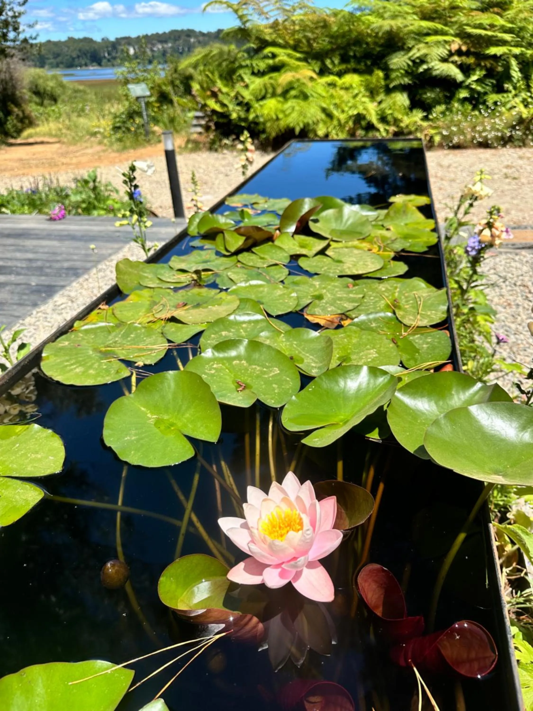 Balcony/Terrace in Hotel Puerta del Sur
