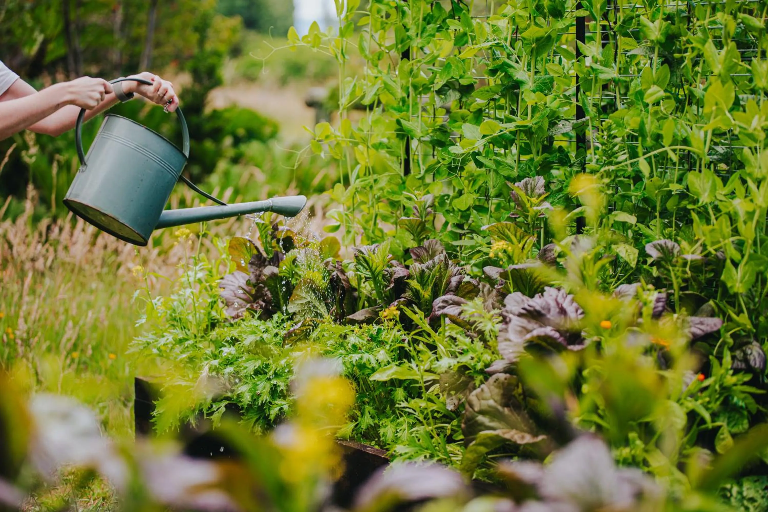 Patio in Hotel Puerta del Sur