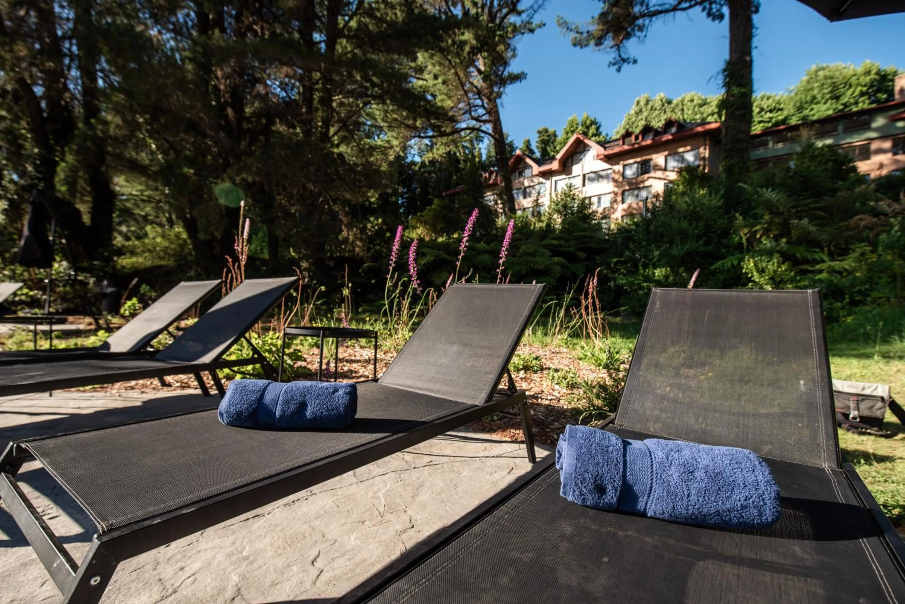 sunbed in Hotel Puerta del Sur