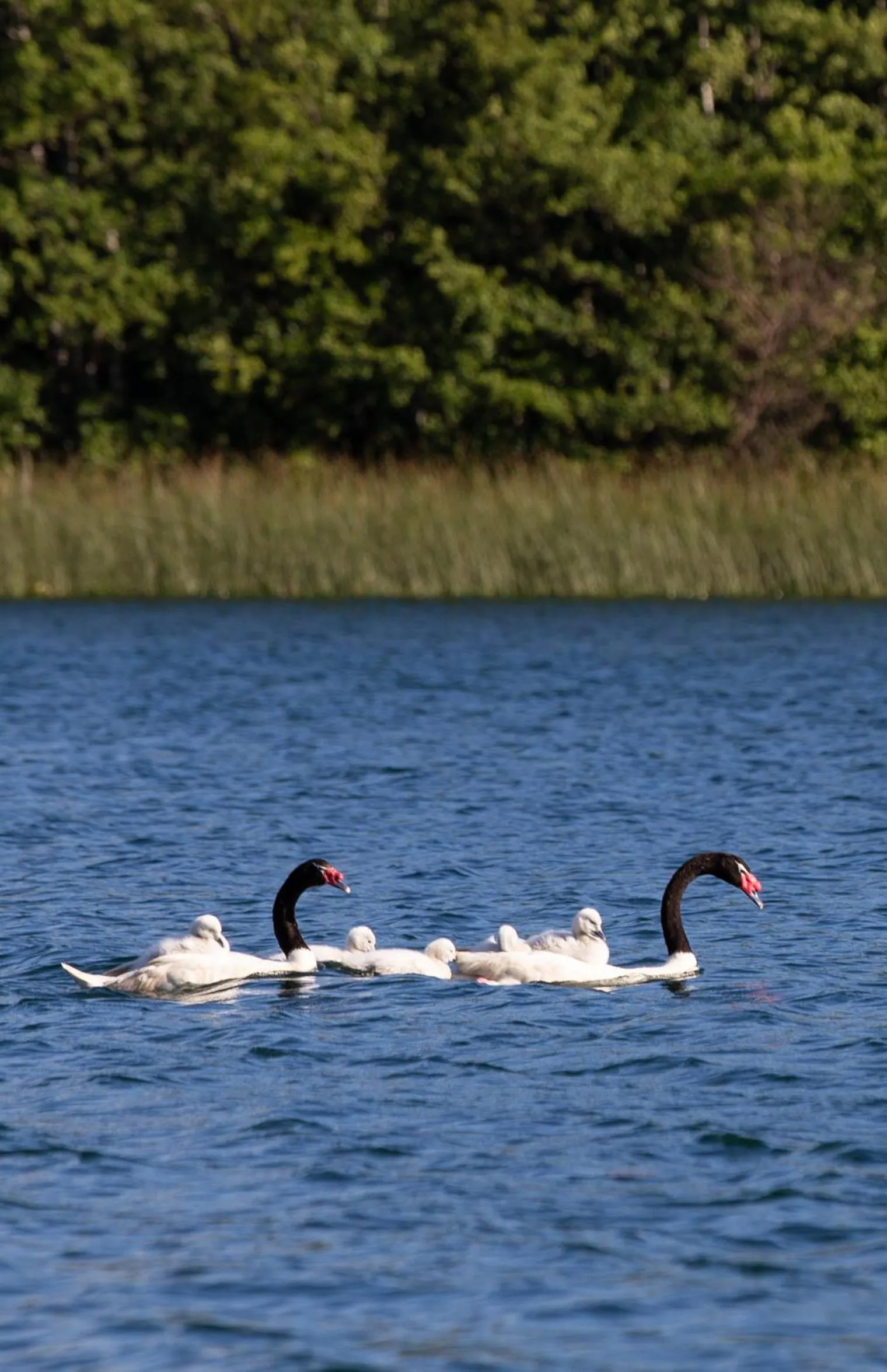 Off site in Hotel Puerta del Sur