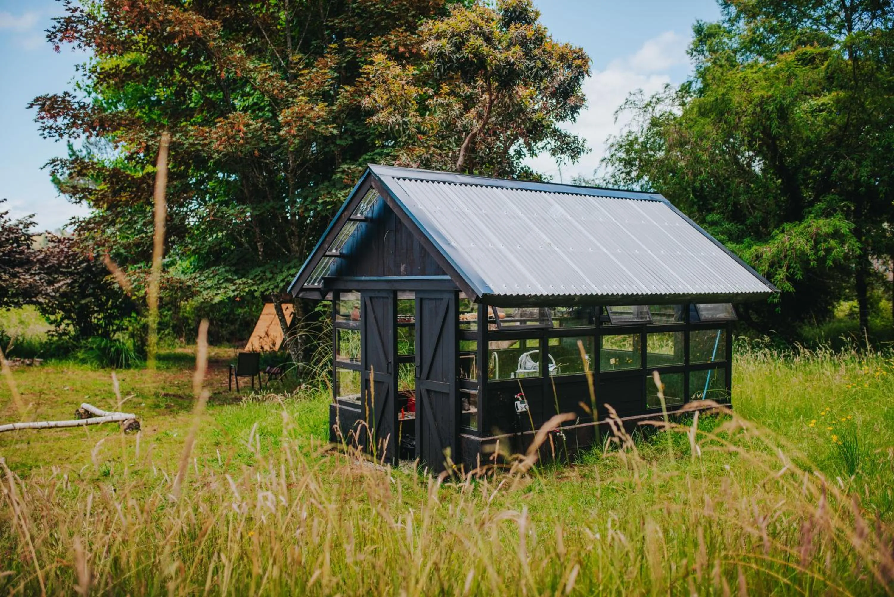 Patio in Hotel Puerta del Sur