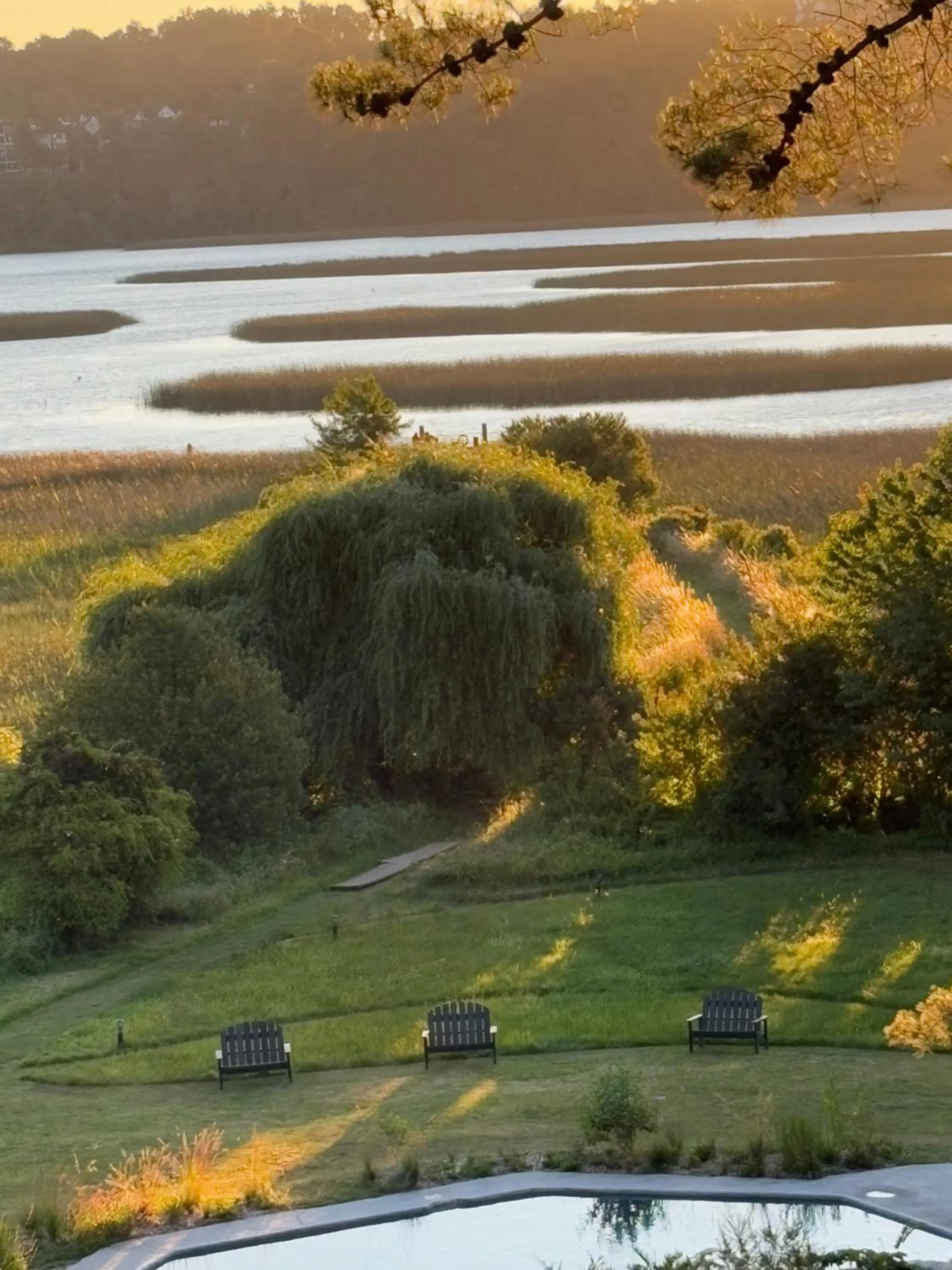 Garden in Hotel Puerta del Sur