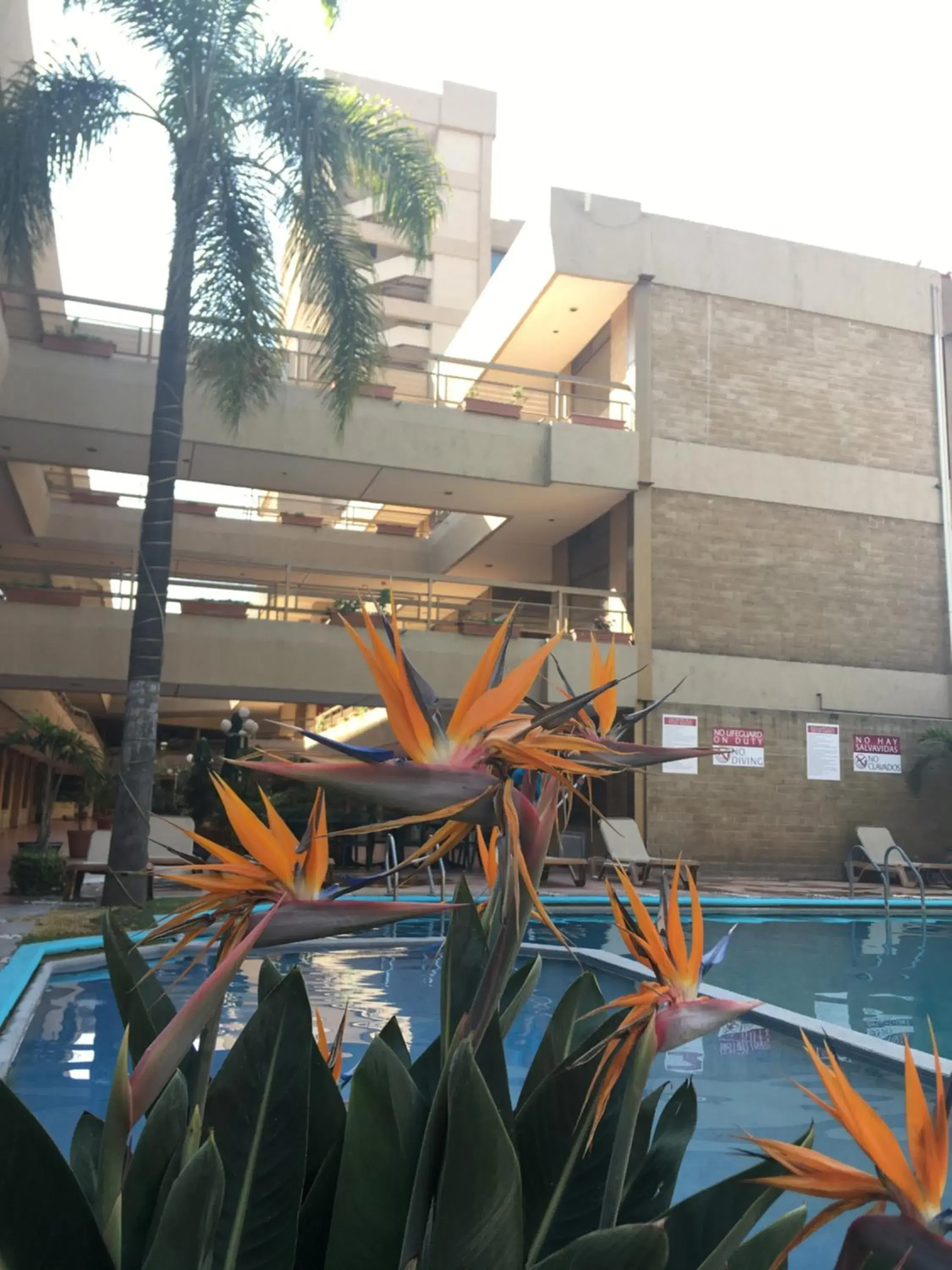 Swimming pool in Best Western PLUS Plaza Florida & Tower Swimming pool in Best Western PLUS Plaza Florida & Tower