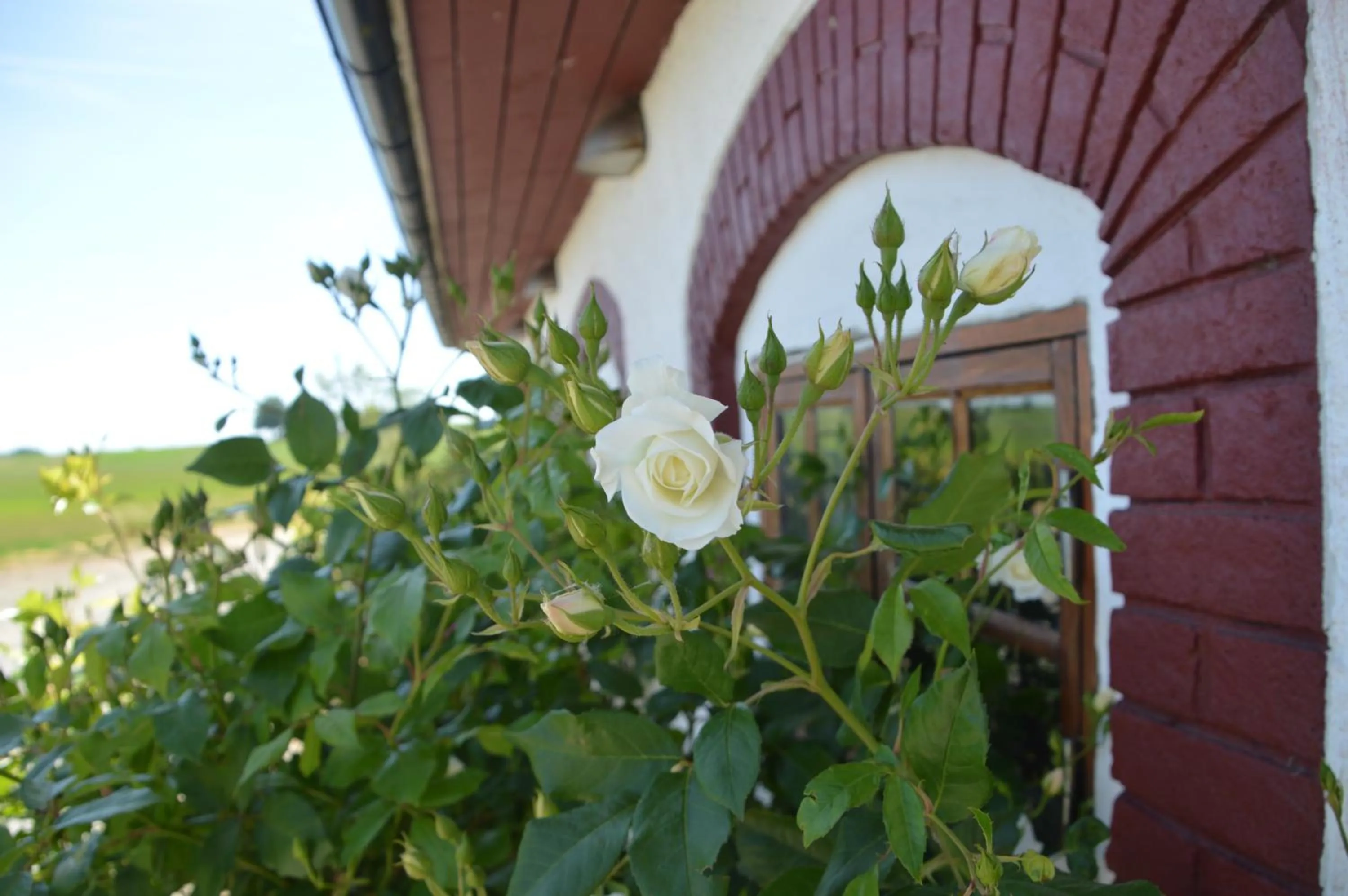 Property building in Gårdshotellet