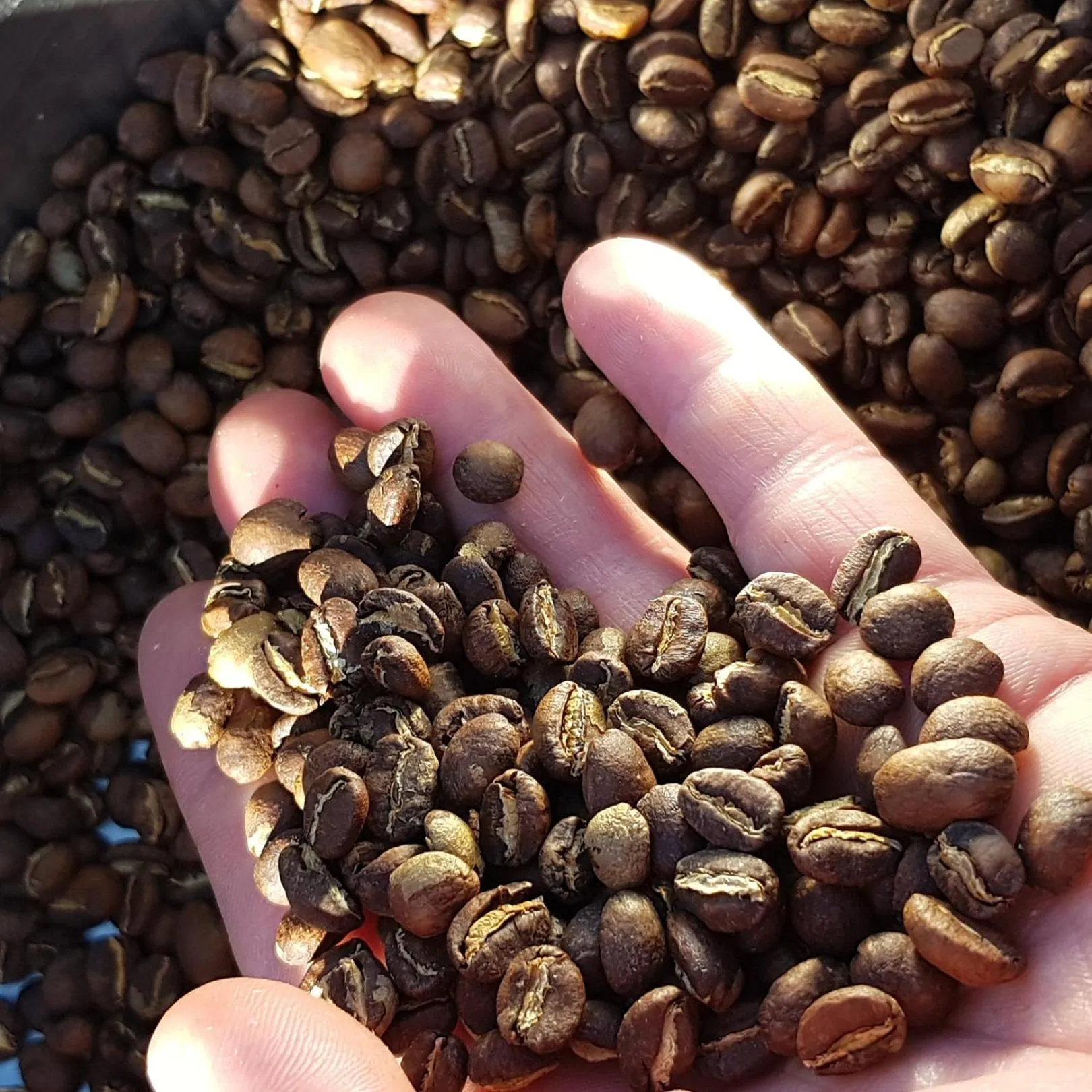 Food and drinks in Gårdshotellet