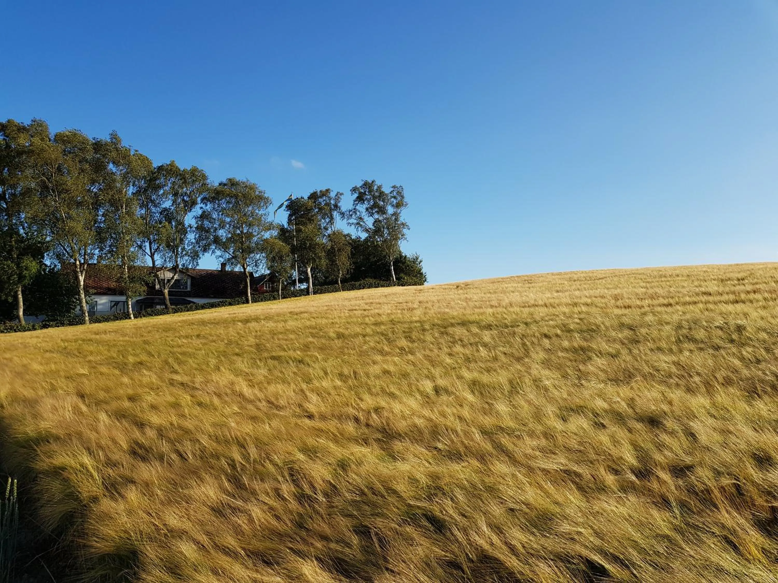 Natural landscape in Gårdshotellet