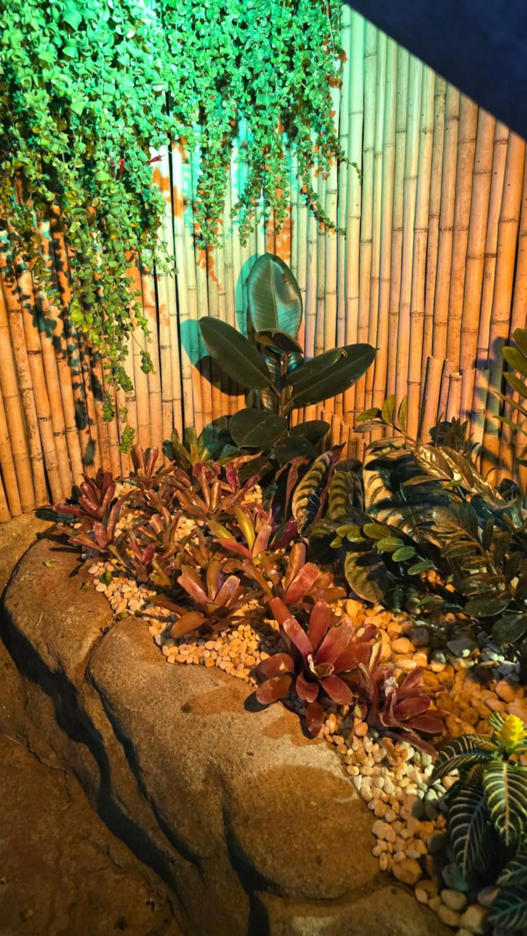 Garden in Pousada Bon Vivant