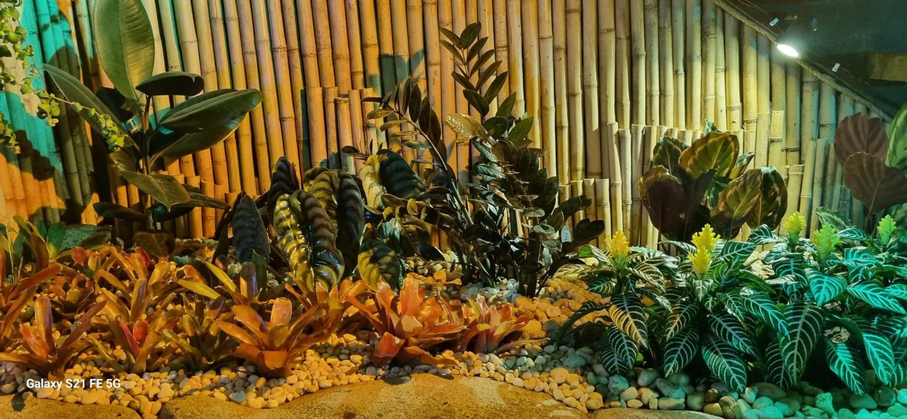 Garden in Pousada Bon Vivant