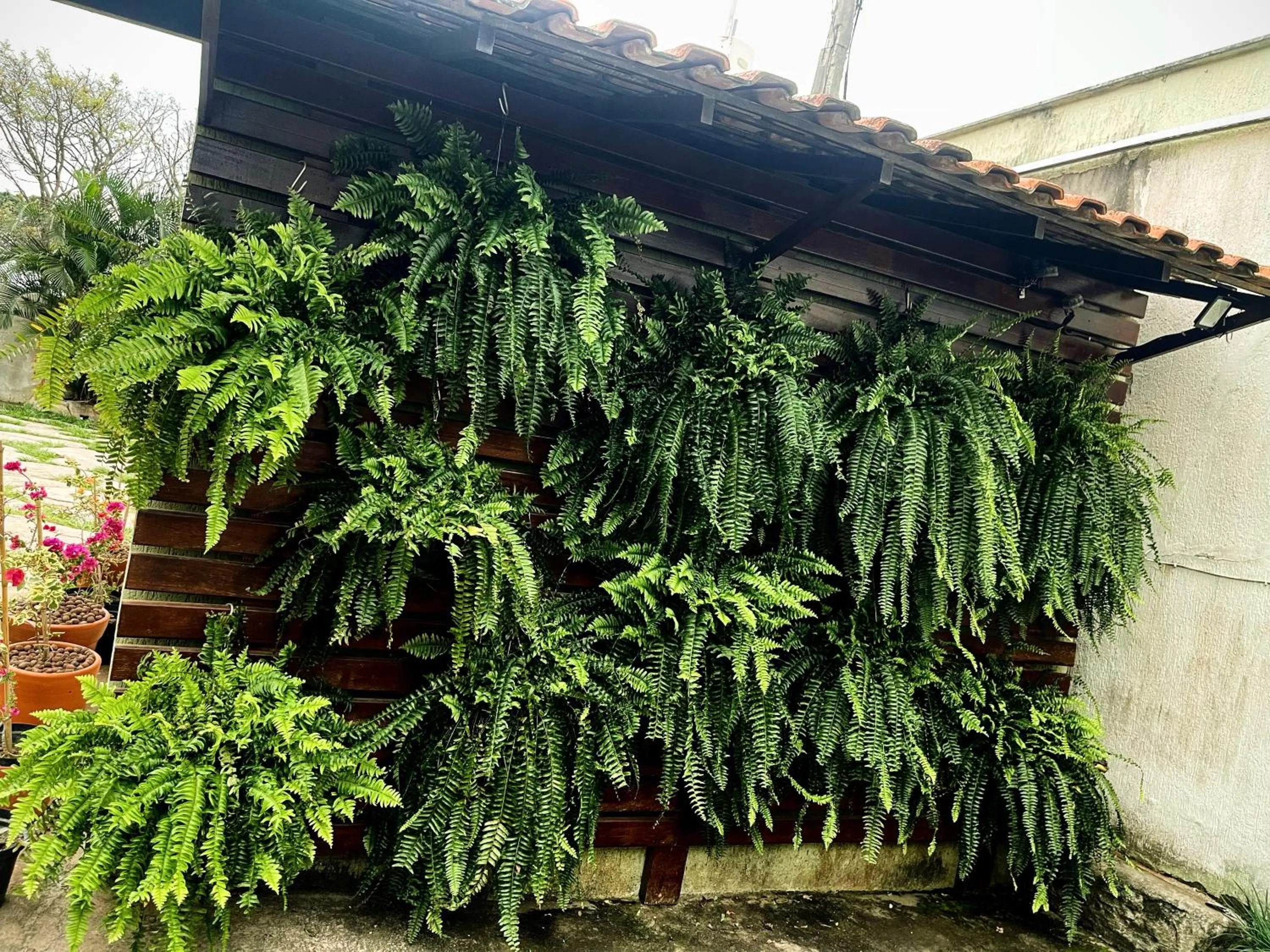 Day in Pousada Bon Vivant