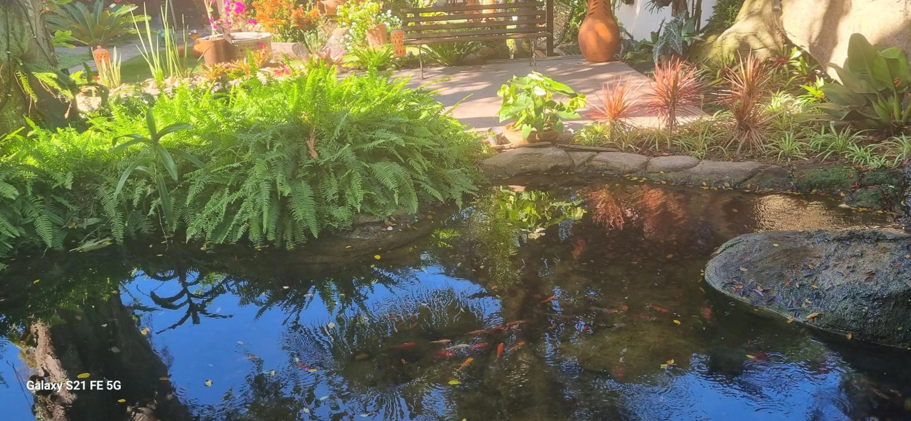 Garden view in Pousada Bon Vivant