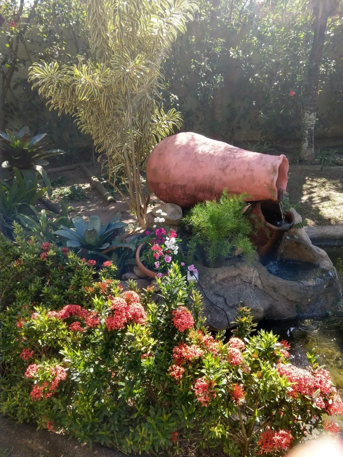 Spring in Pousada Bon Vivant