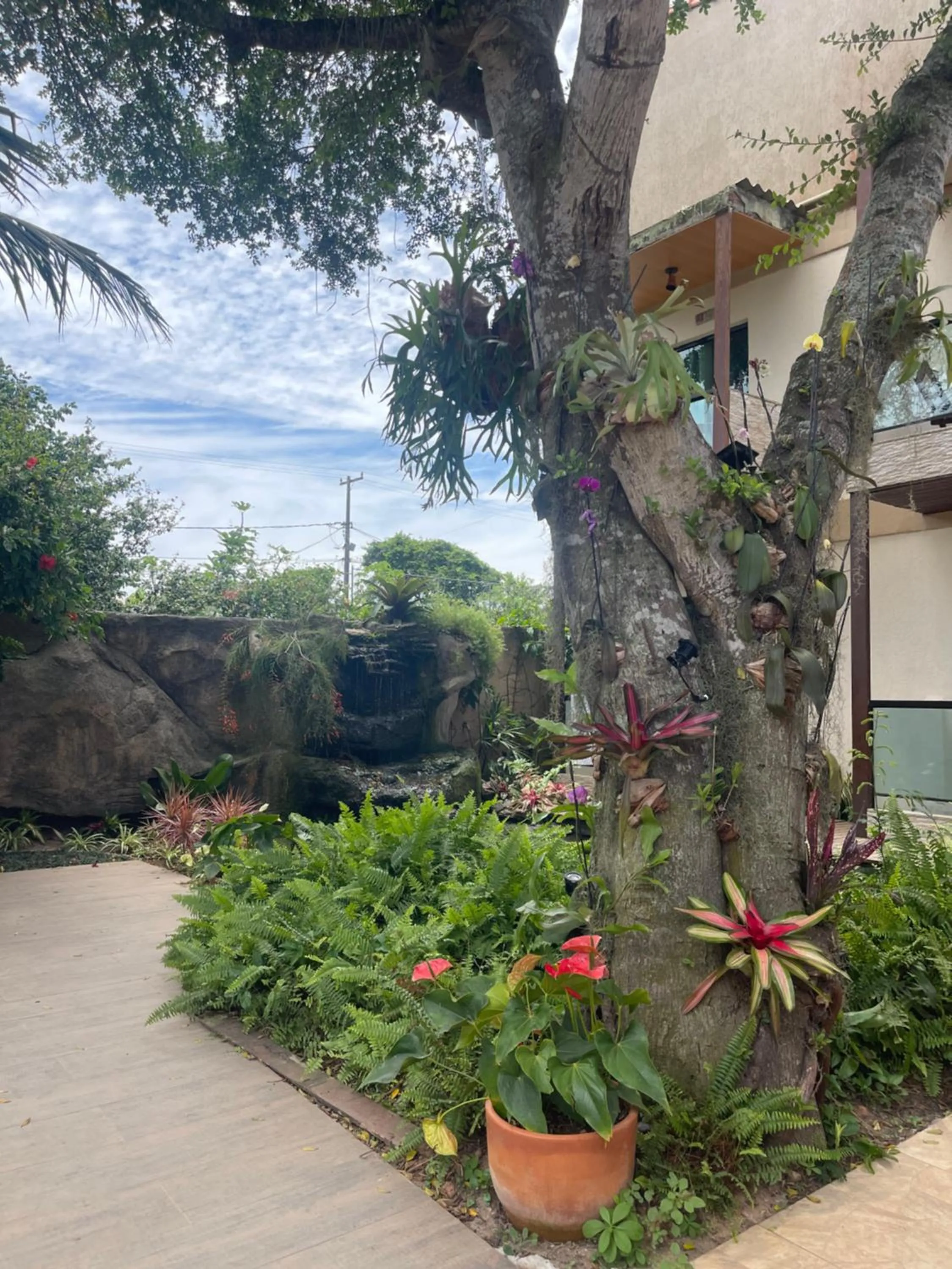 Garden in Pousada Bon Vivant